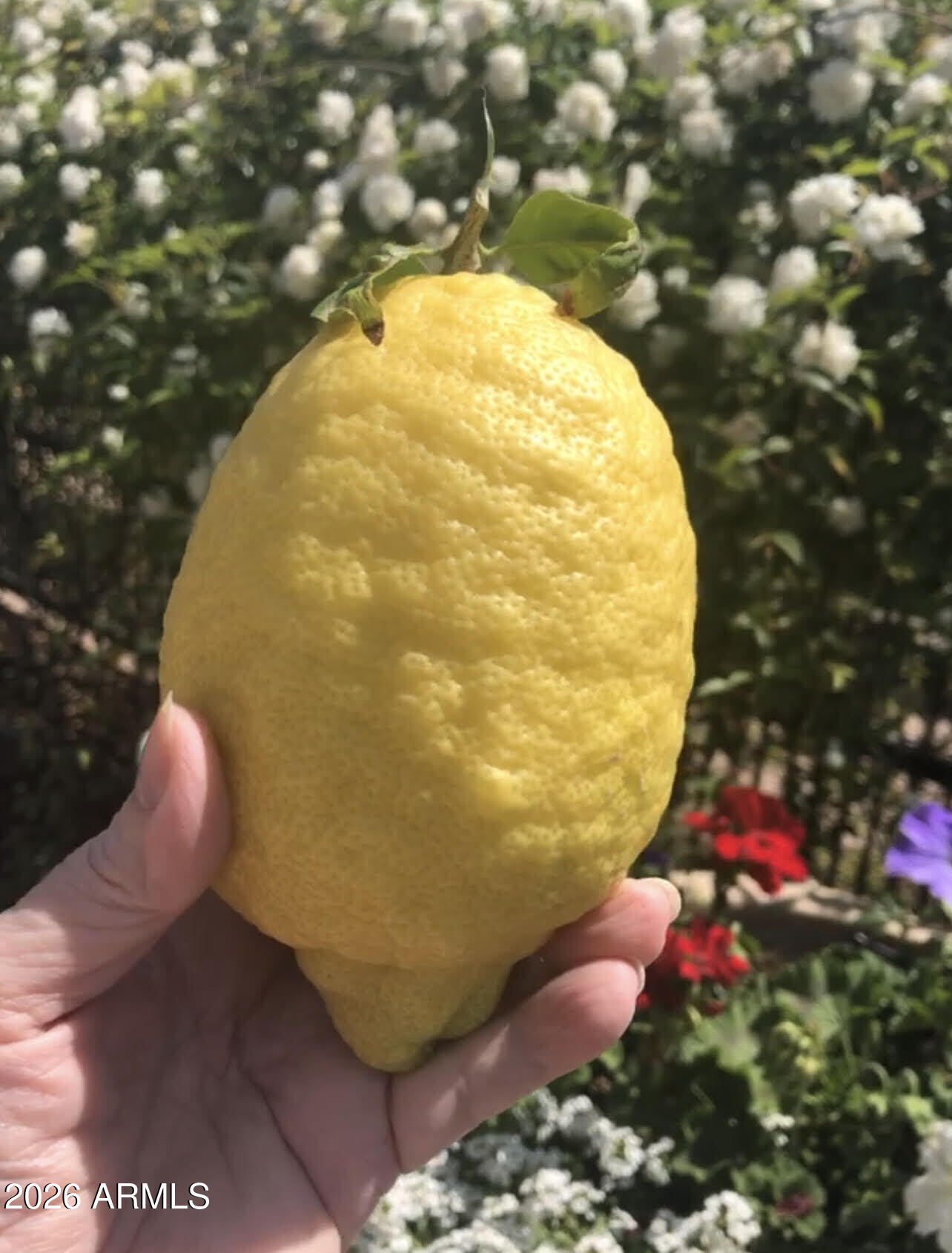 13055 W CLIFFROSE Road