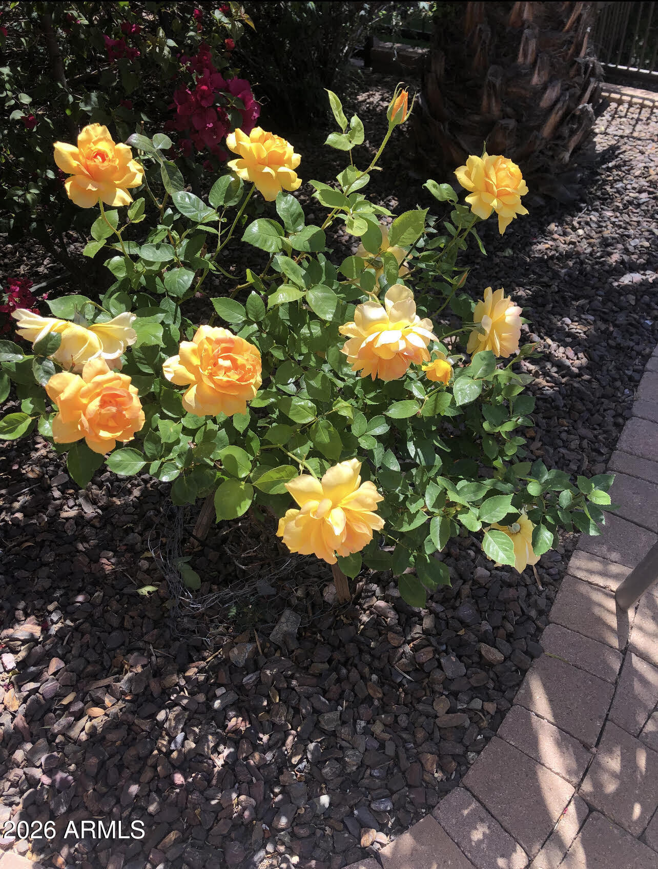 13055 W CLIFFROSE Road