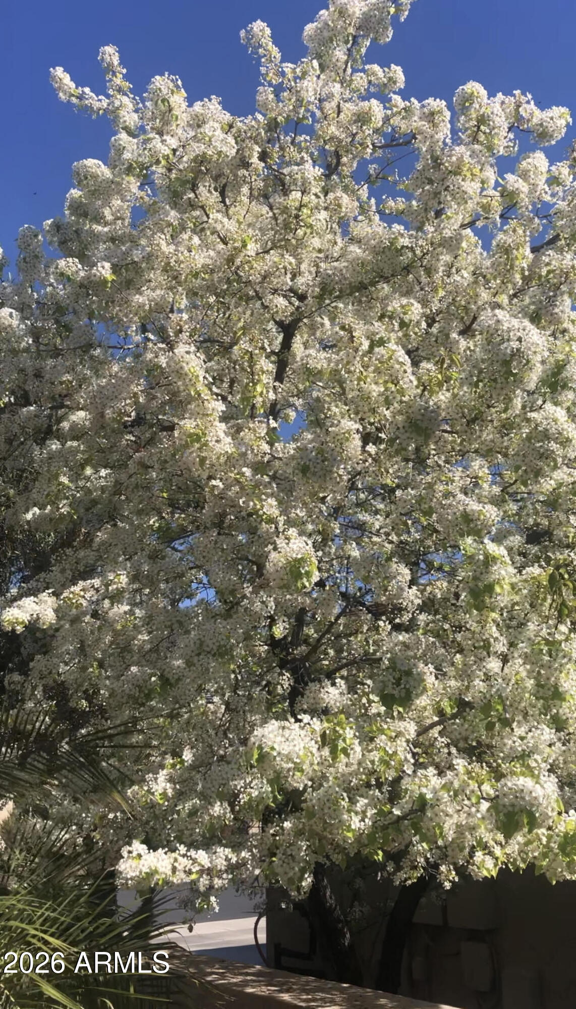 13055 W CLIFFROSE Road