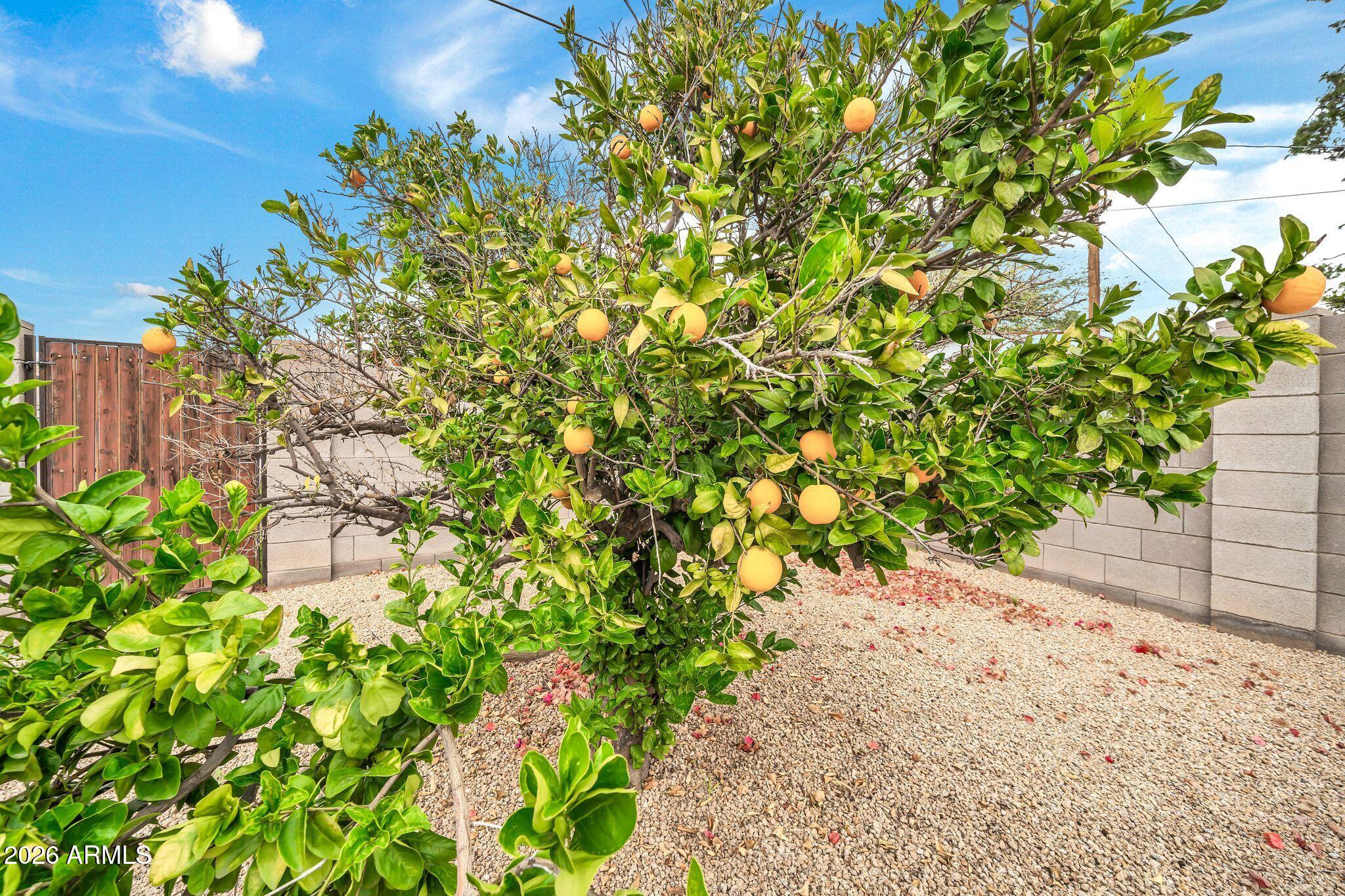 2208 E SYLVIA Street