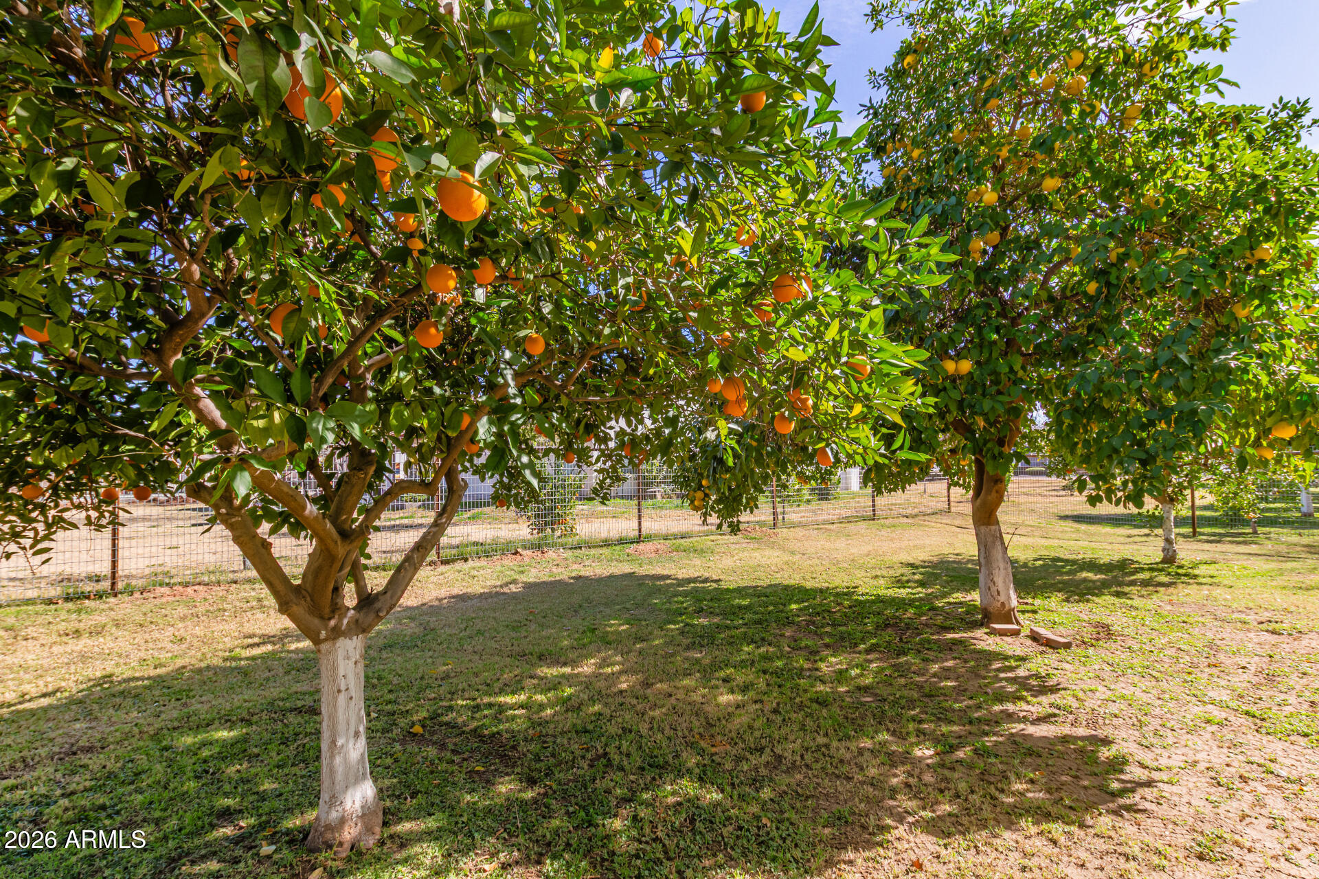 2912 E HOUSTON Avenue