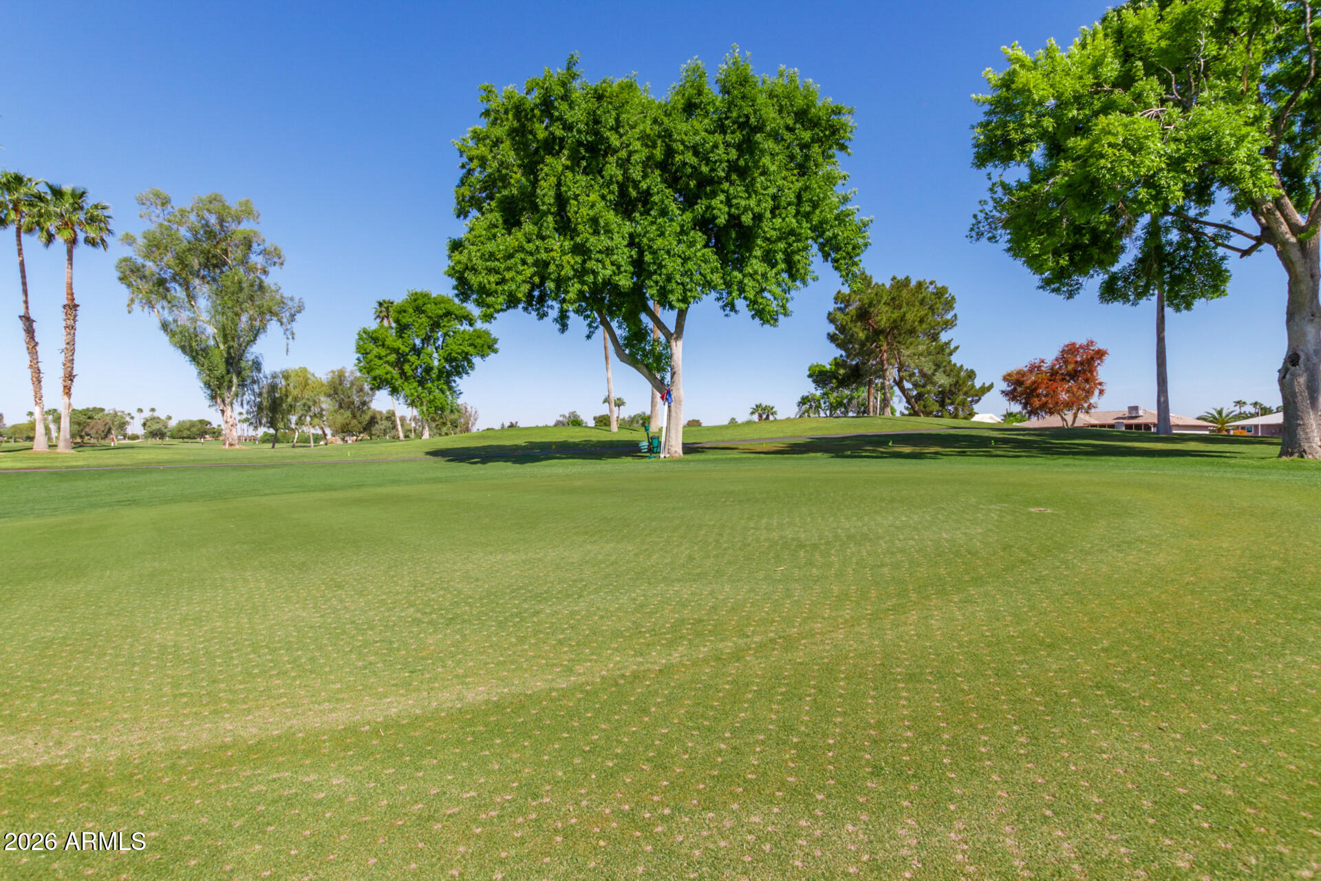 12603 W BRANDYWINE Drive