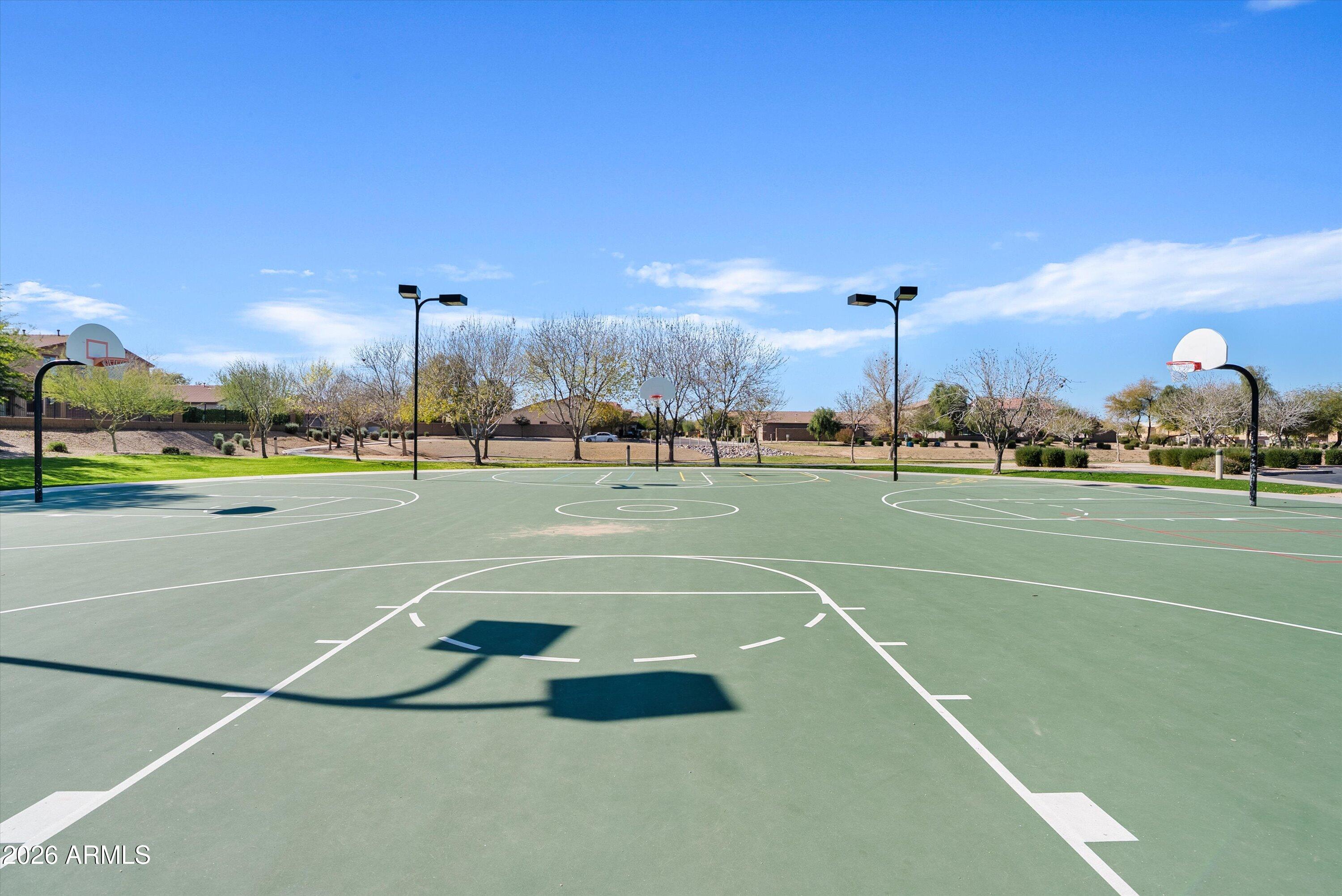 29149 N Yellow Bee Drive