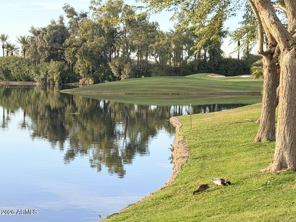 8989 N GAINEY CENTER Drive 133