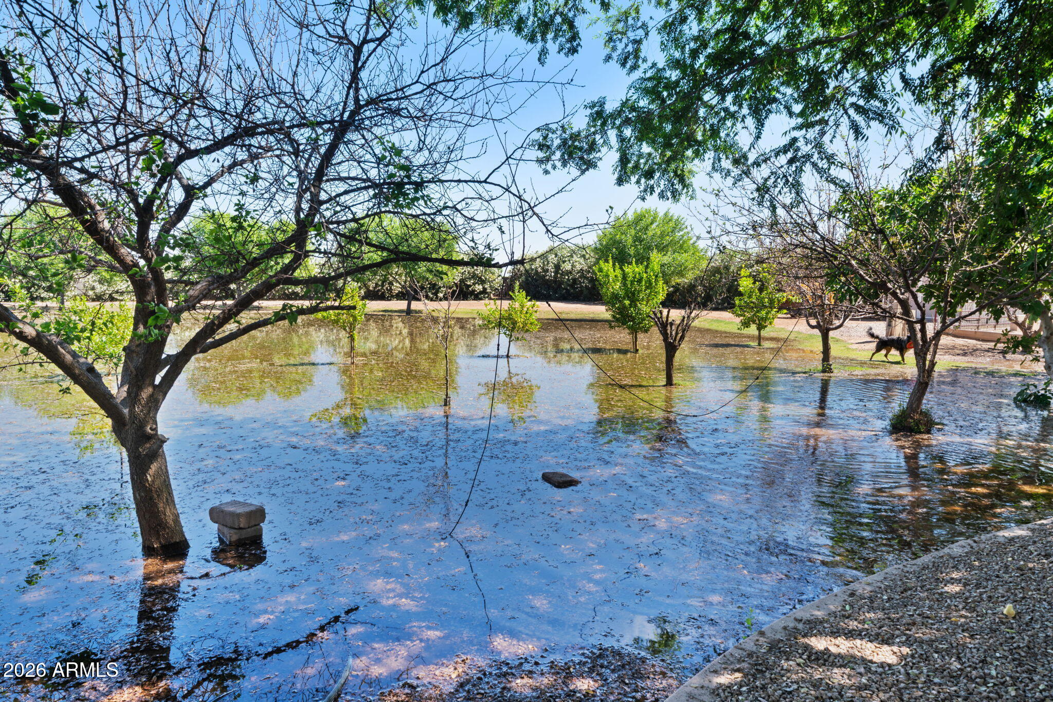 16325 E MAGNOLIA Drive