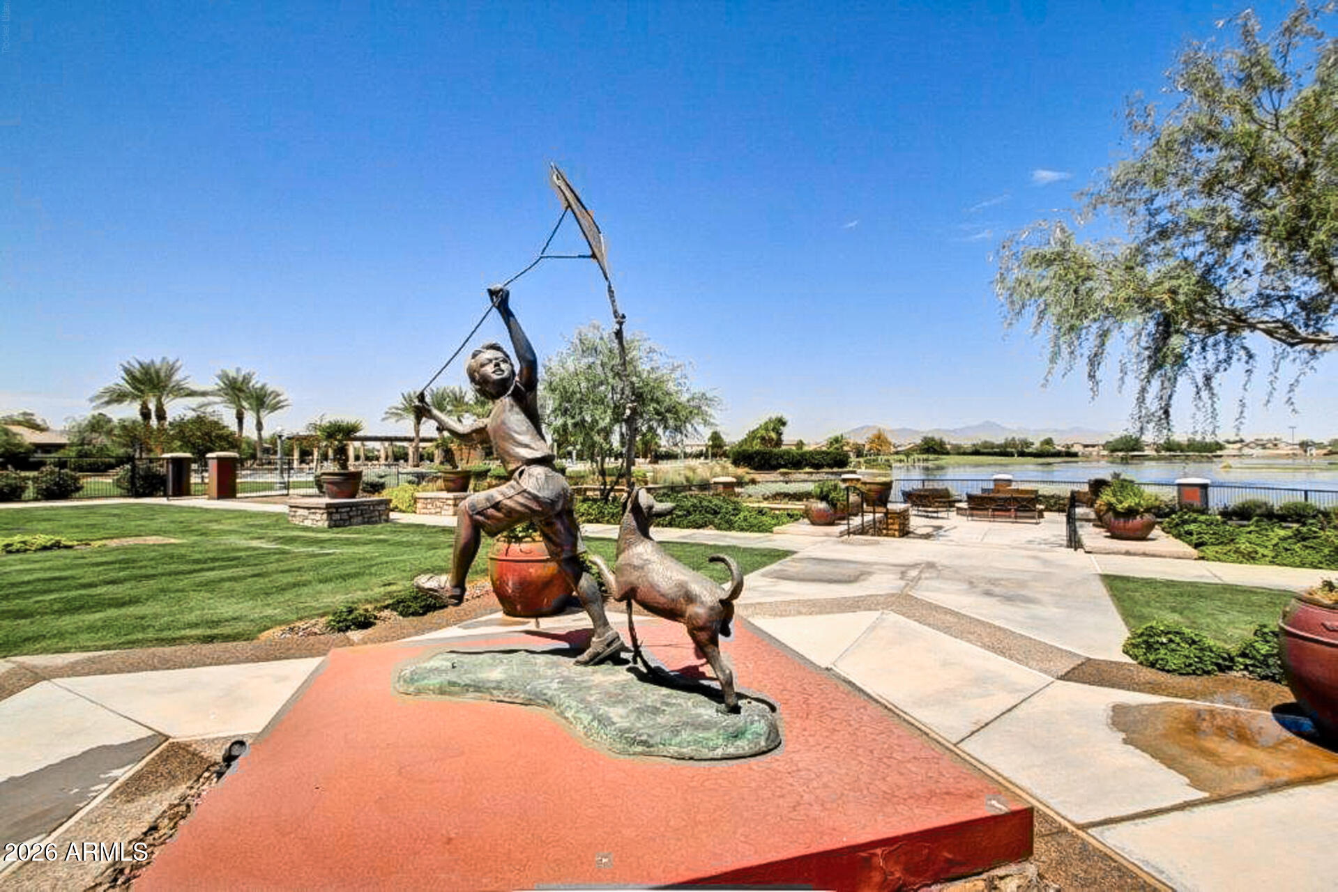 41801 W CACTUS FLOWER