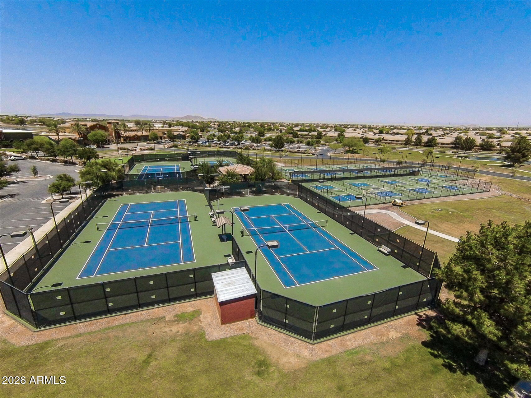 41801 W CACTUS FLOWER