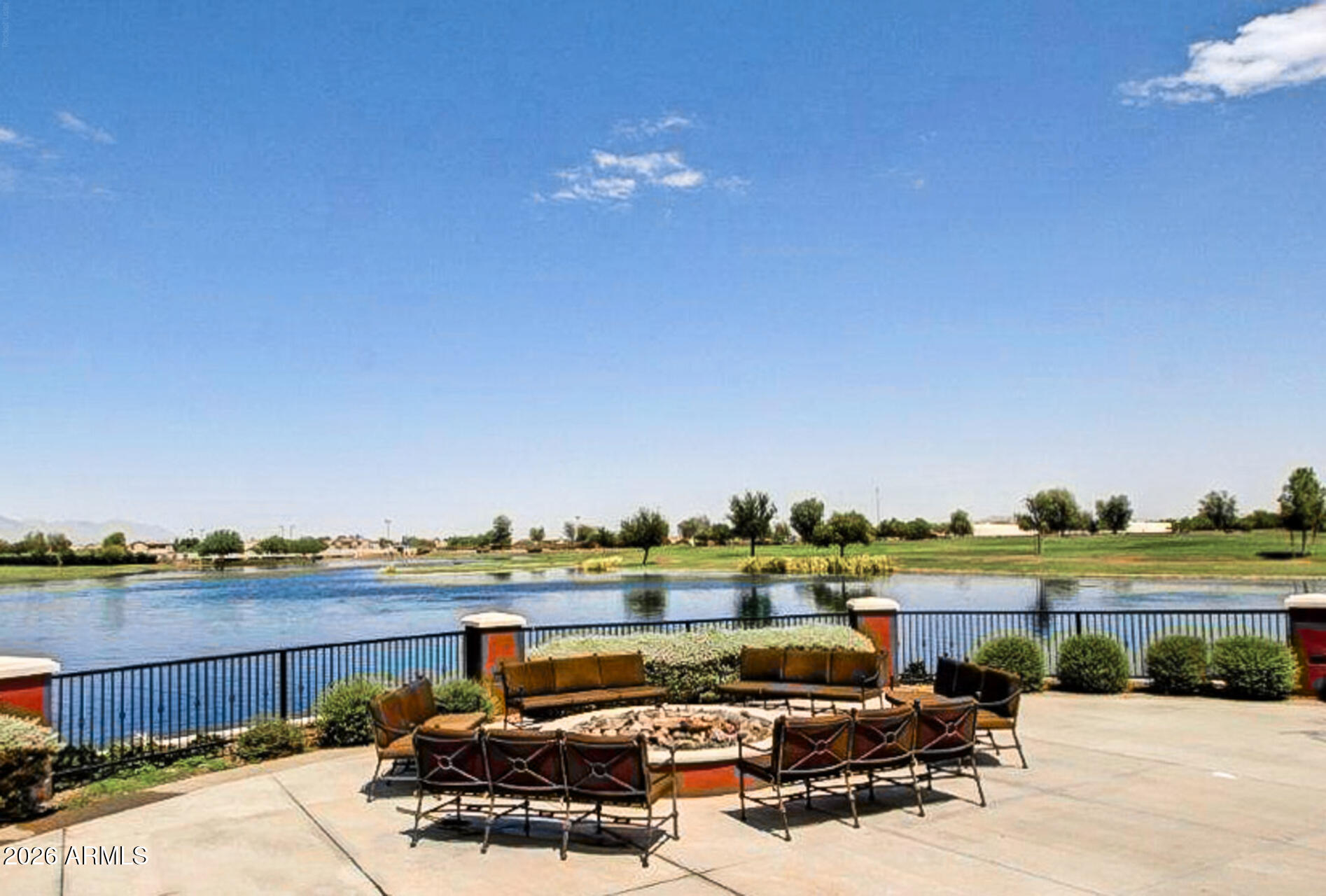 41801 W CACTUS FLOWER