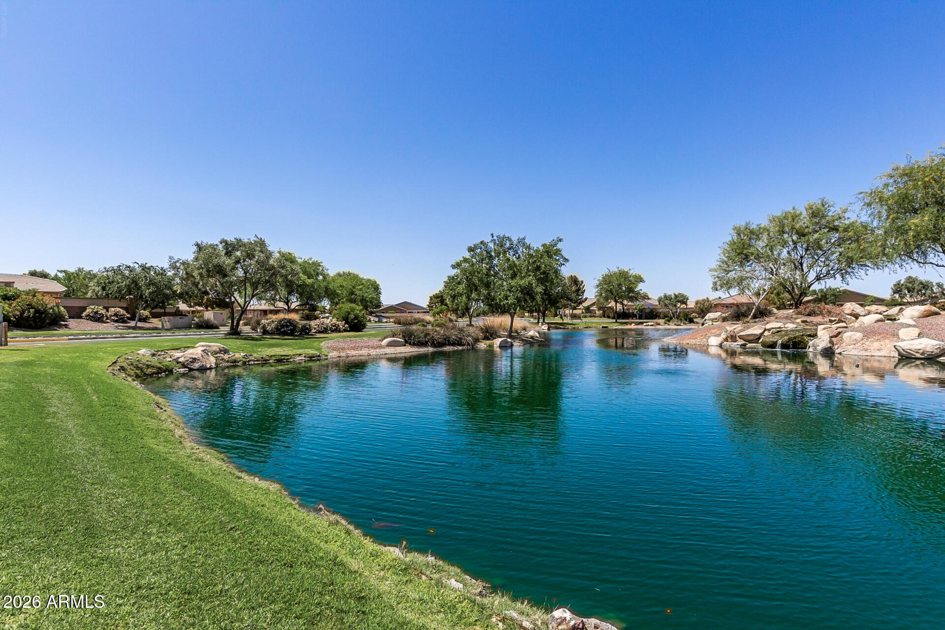 41801 W CACTUS FLOWER