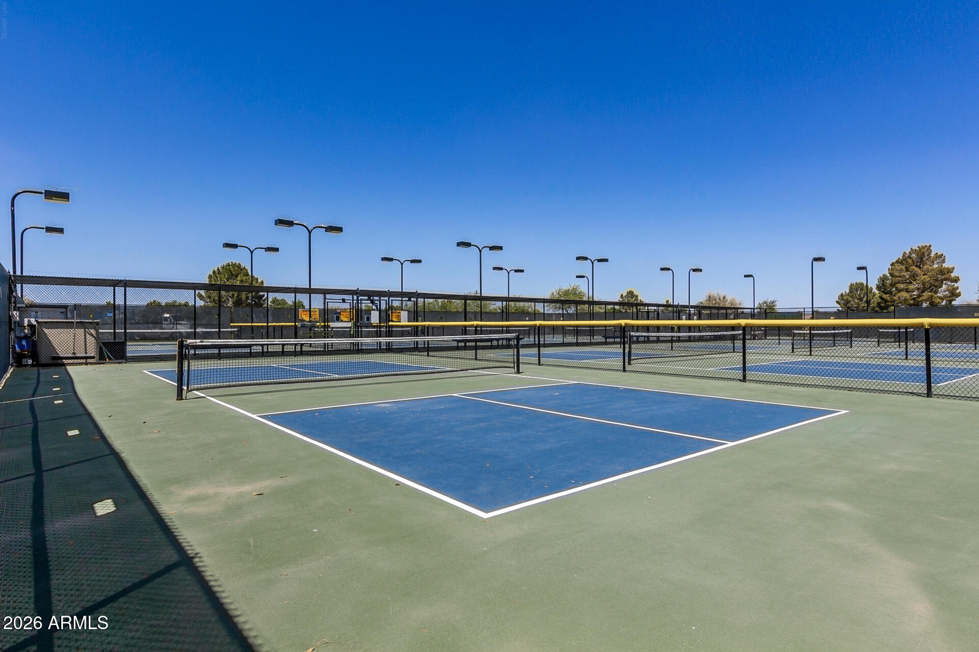 41801 W CACTUS FLOWER