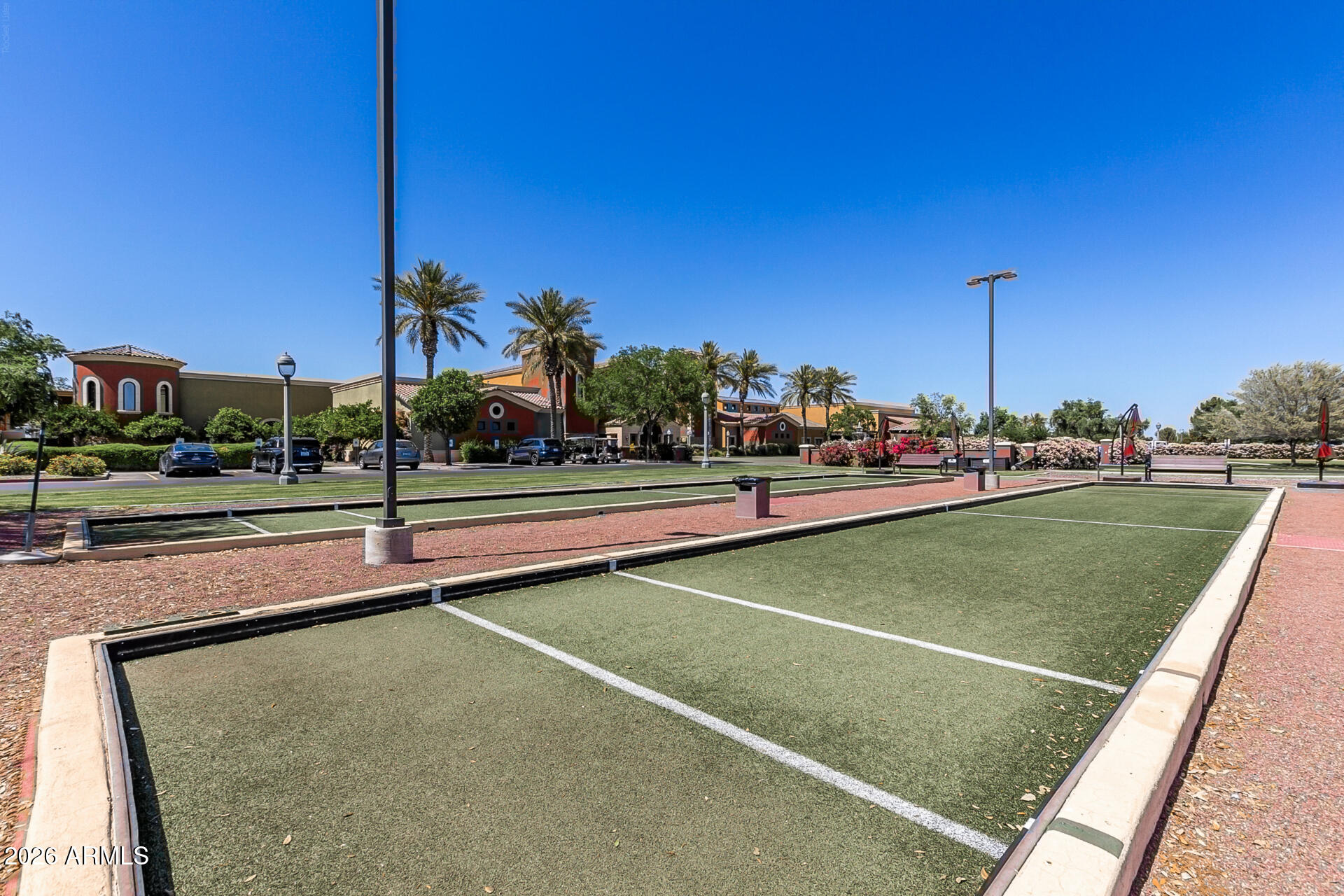 41801 W CACTUS FLOWER