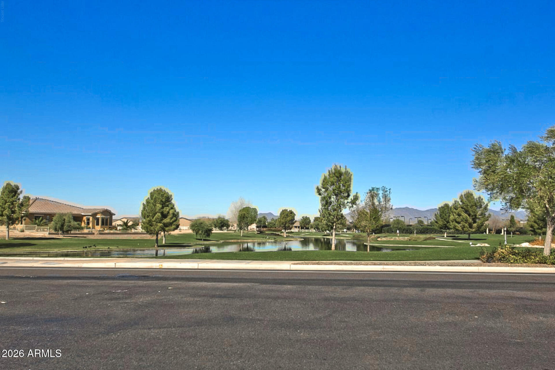 41801 W CACTUS FLOWER