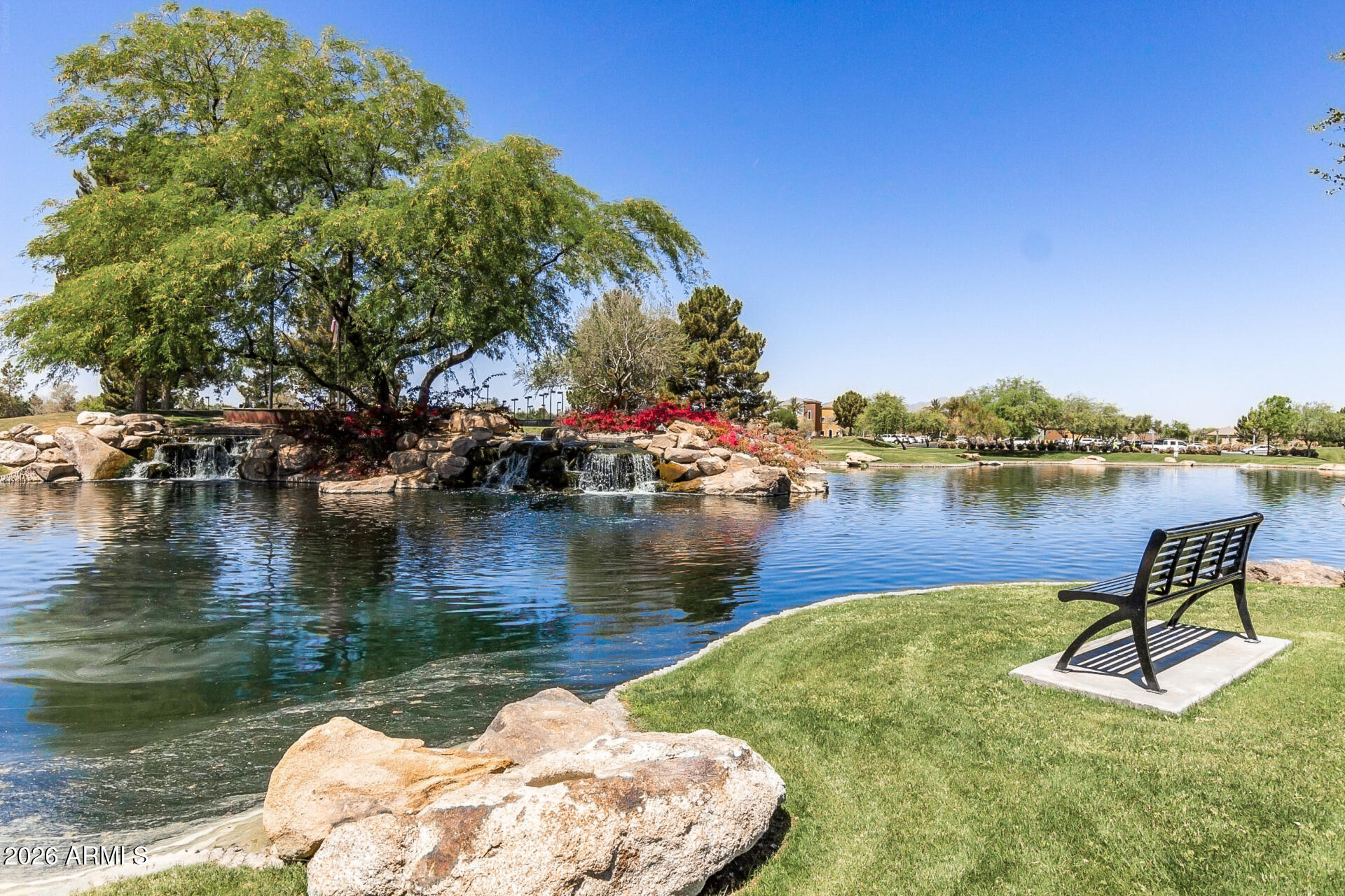 41801 W CACTUS FLOWER