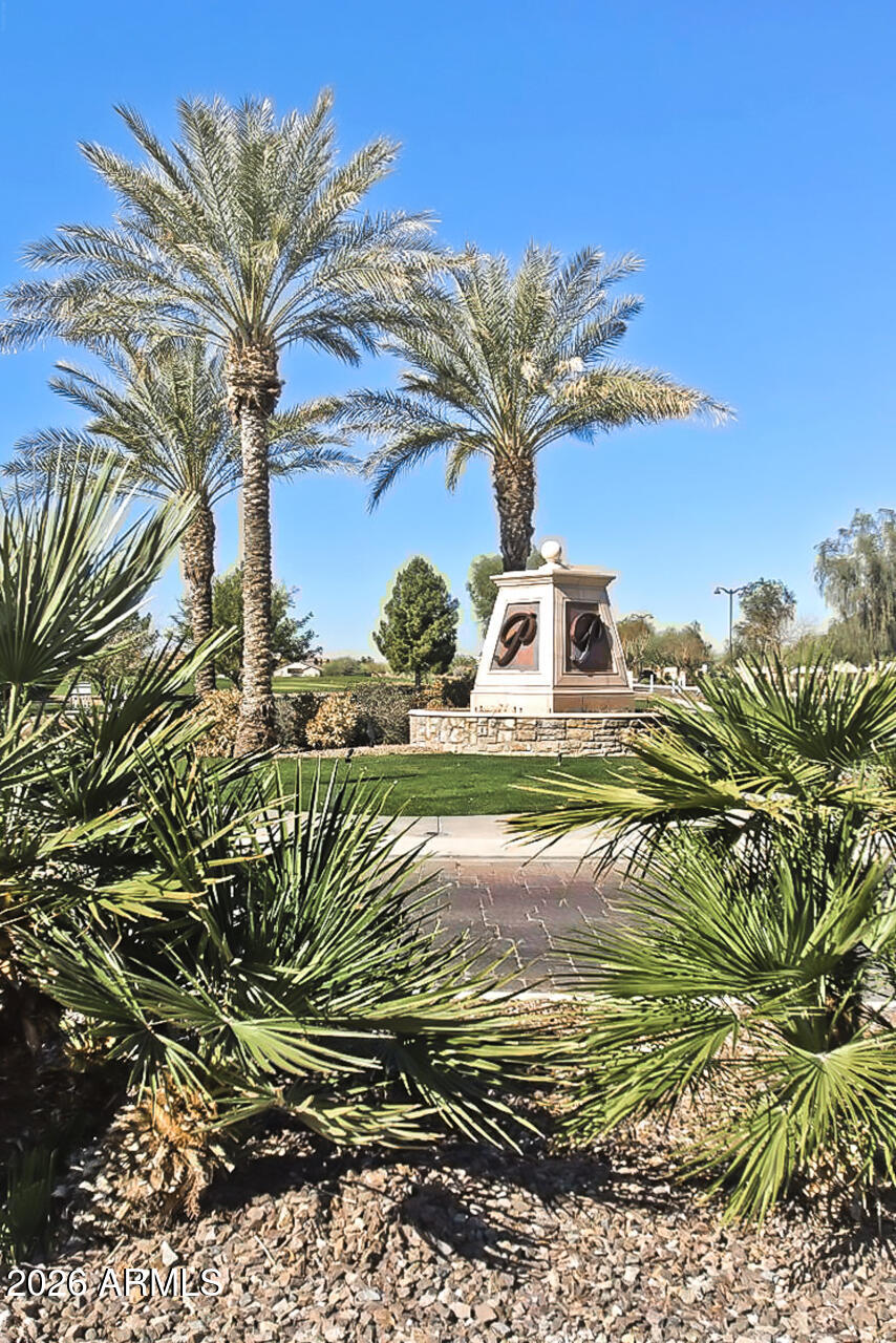 41801 W CACTUS FLOWER