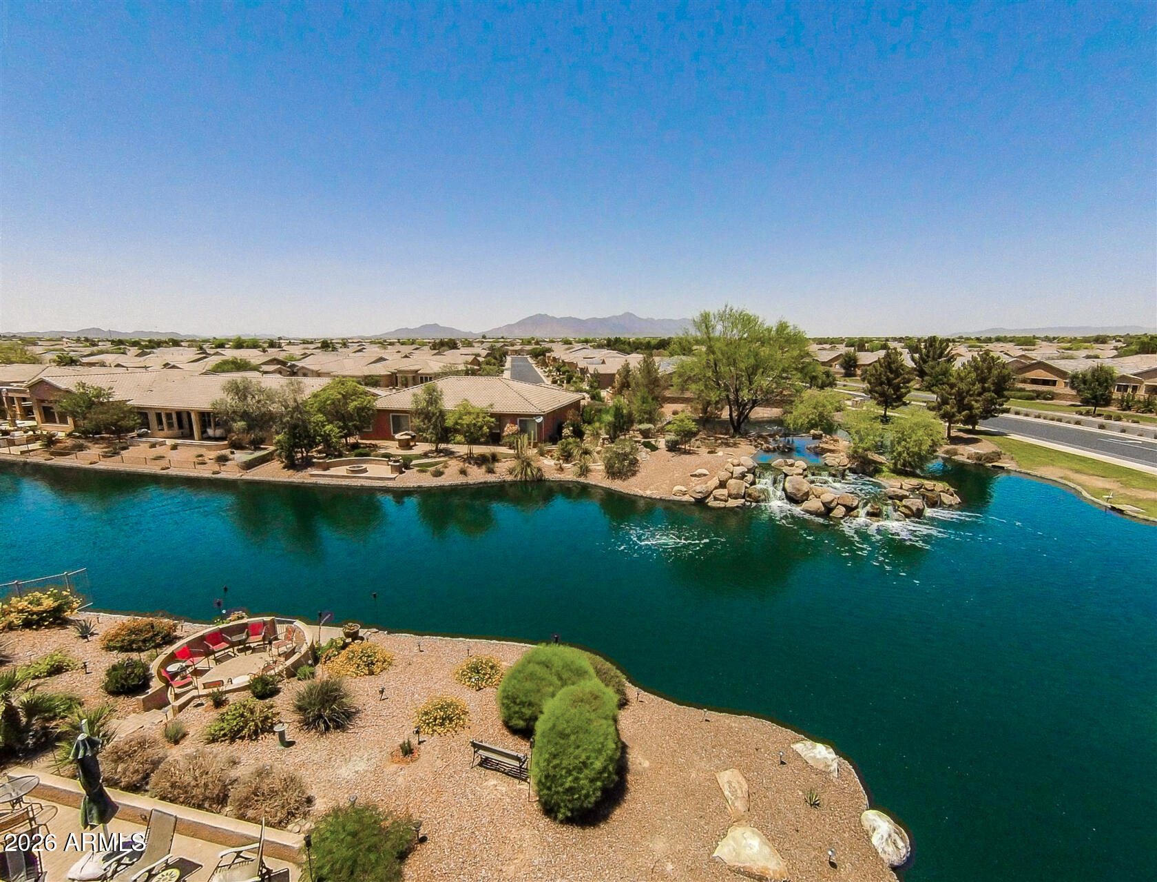 41801 W CACTUS FLOWER