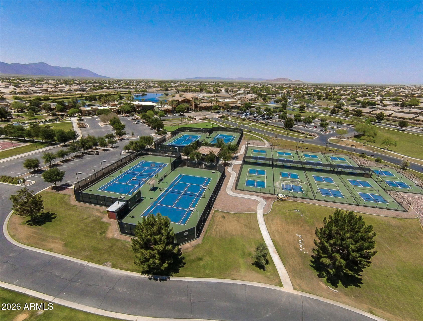 41801 W CACTUS FLOWER