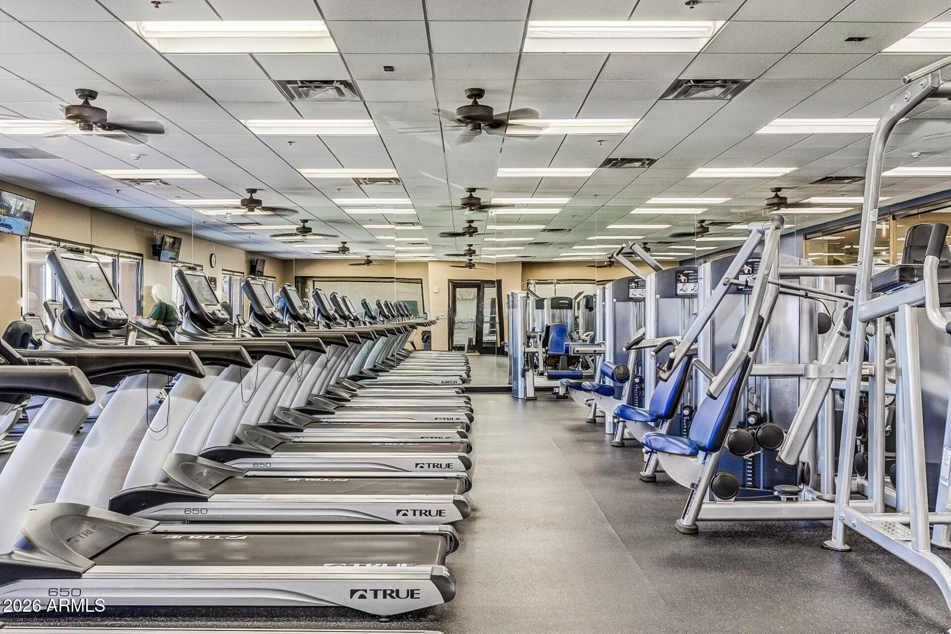 41801 W CACTUS FLOWER