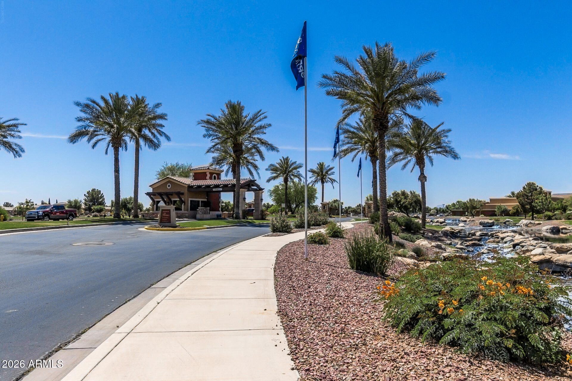 41801 W CACTUS FLOWER