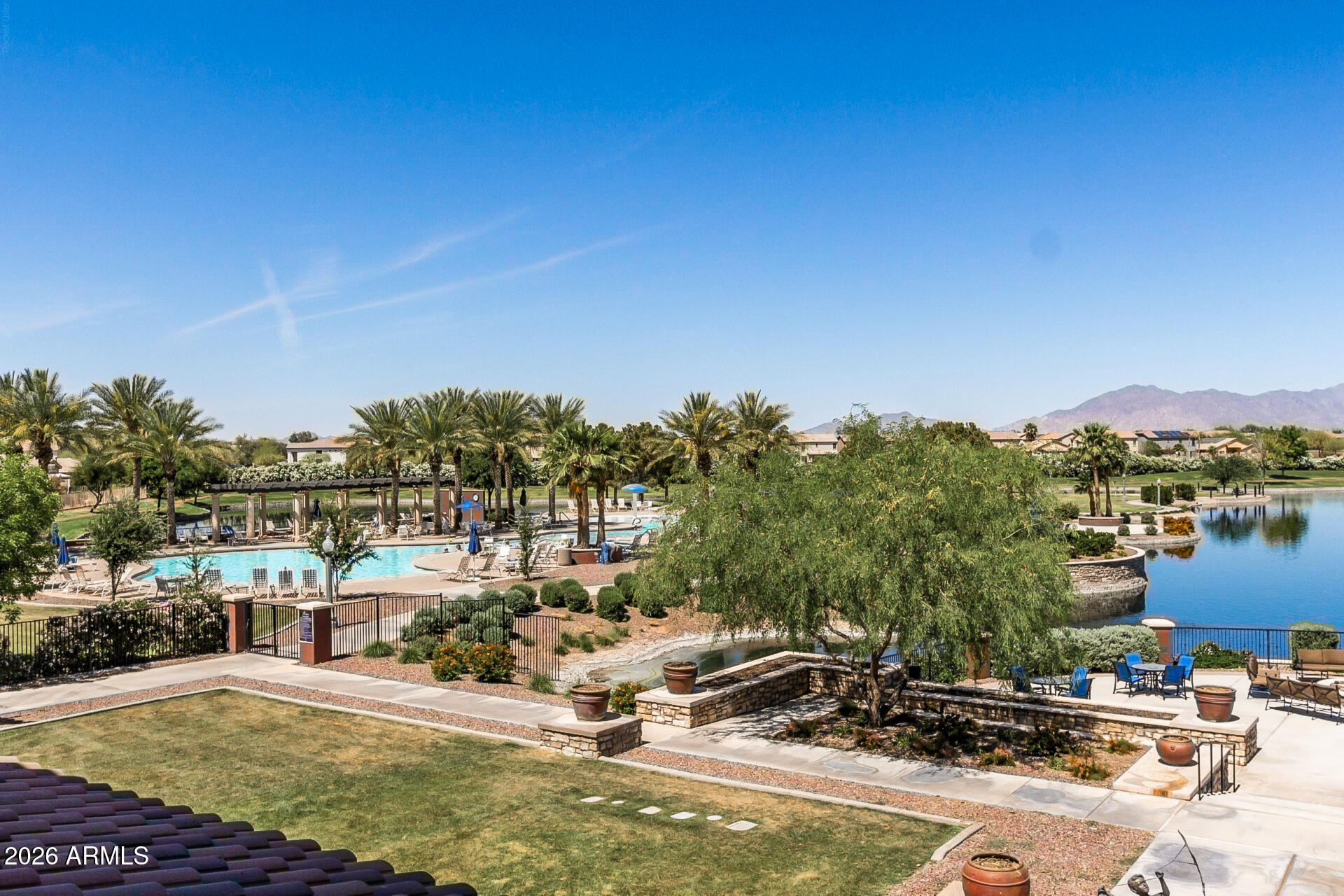 41801 W CACTUS FLOWER