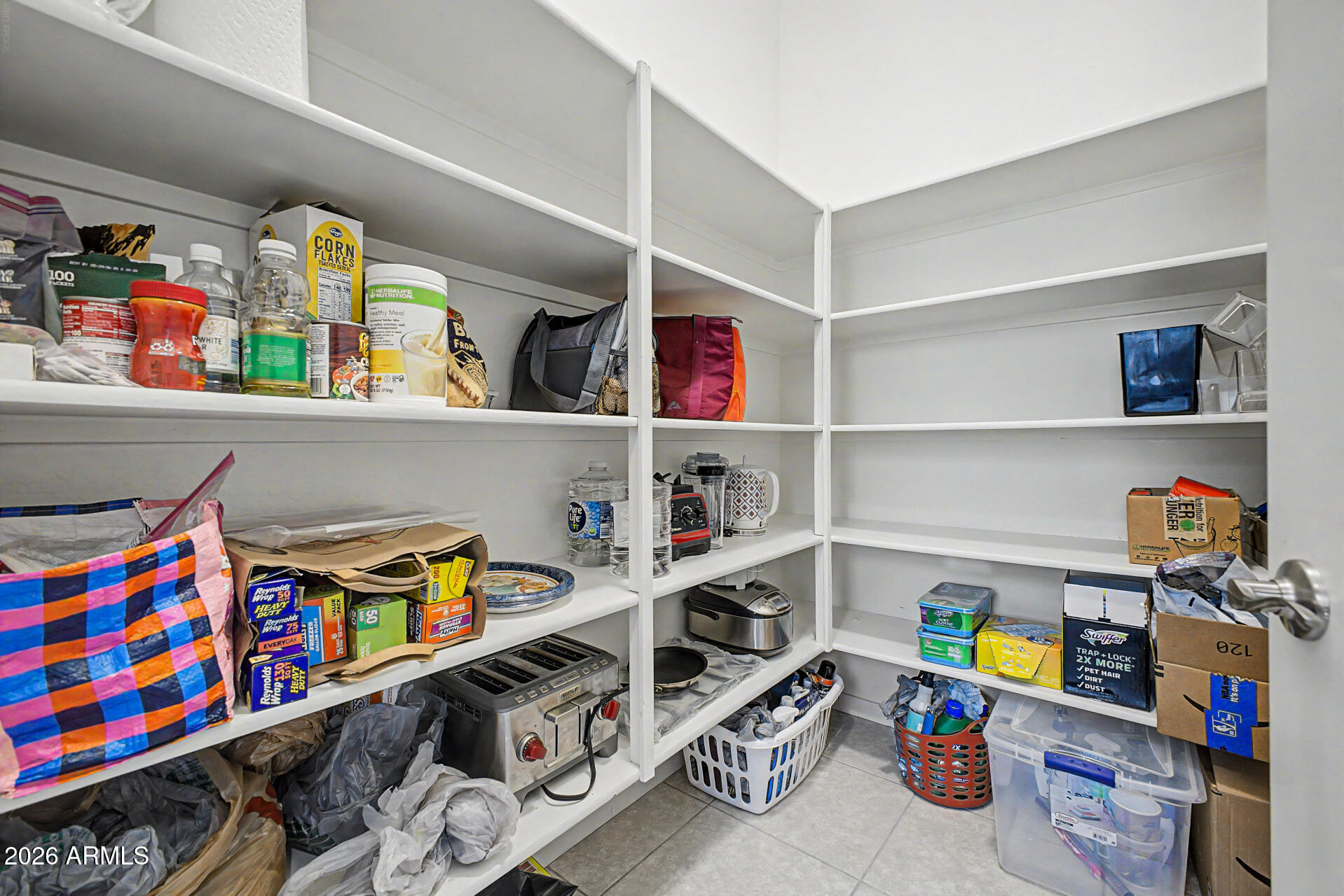 41801 W CACTUS FLOWER