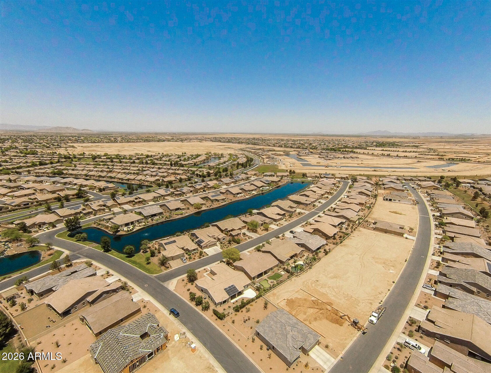 41801 W CACTUS FLOWER