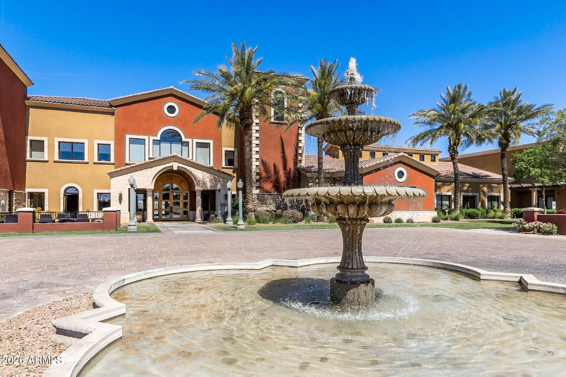 41801 W CACTUS FLOWER