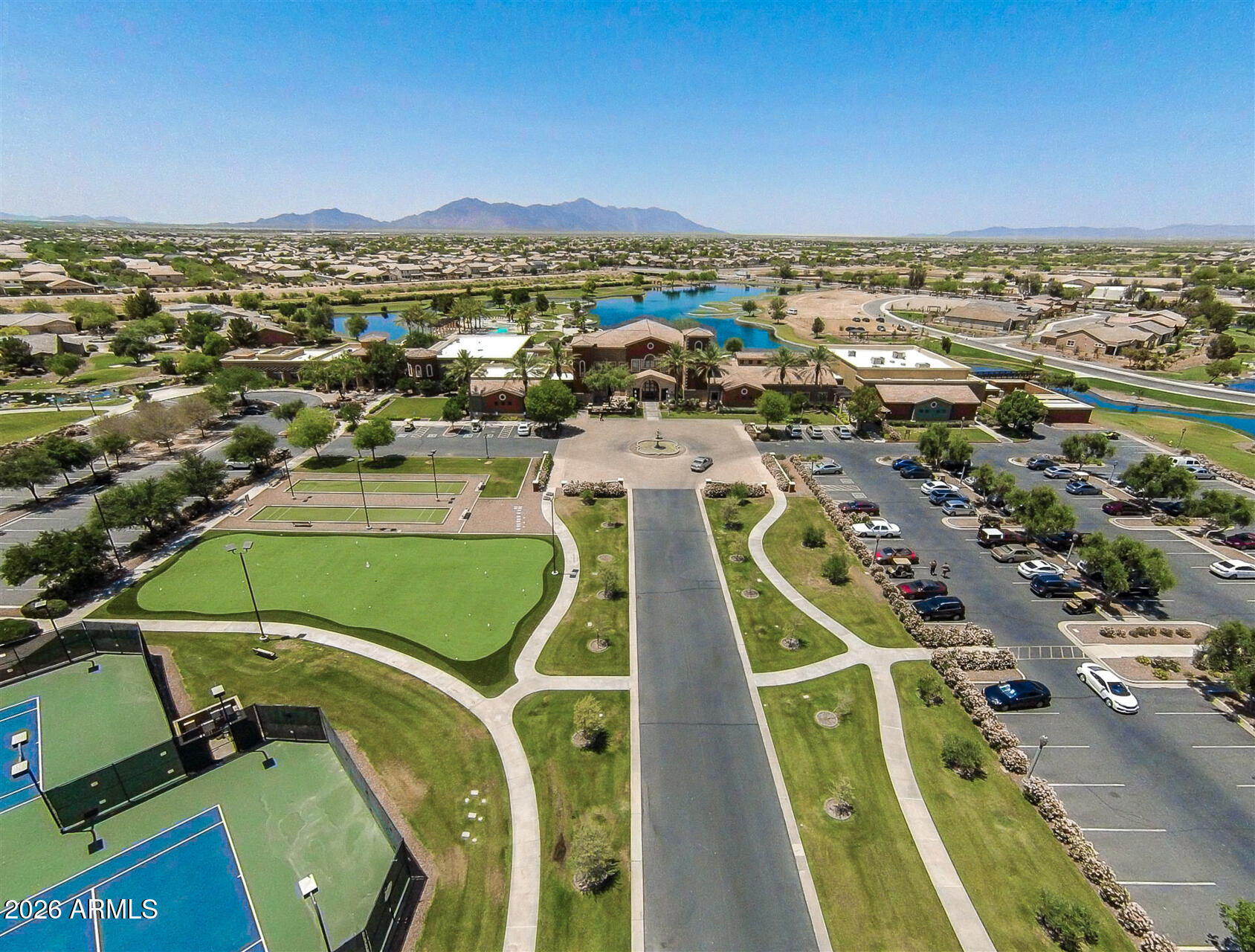 41801 W CACTUS FLOWER