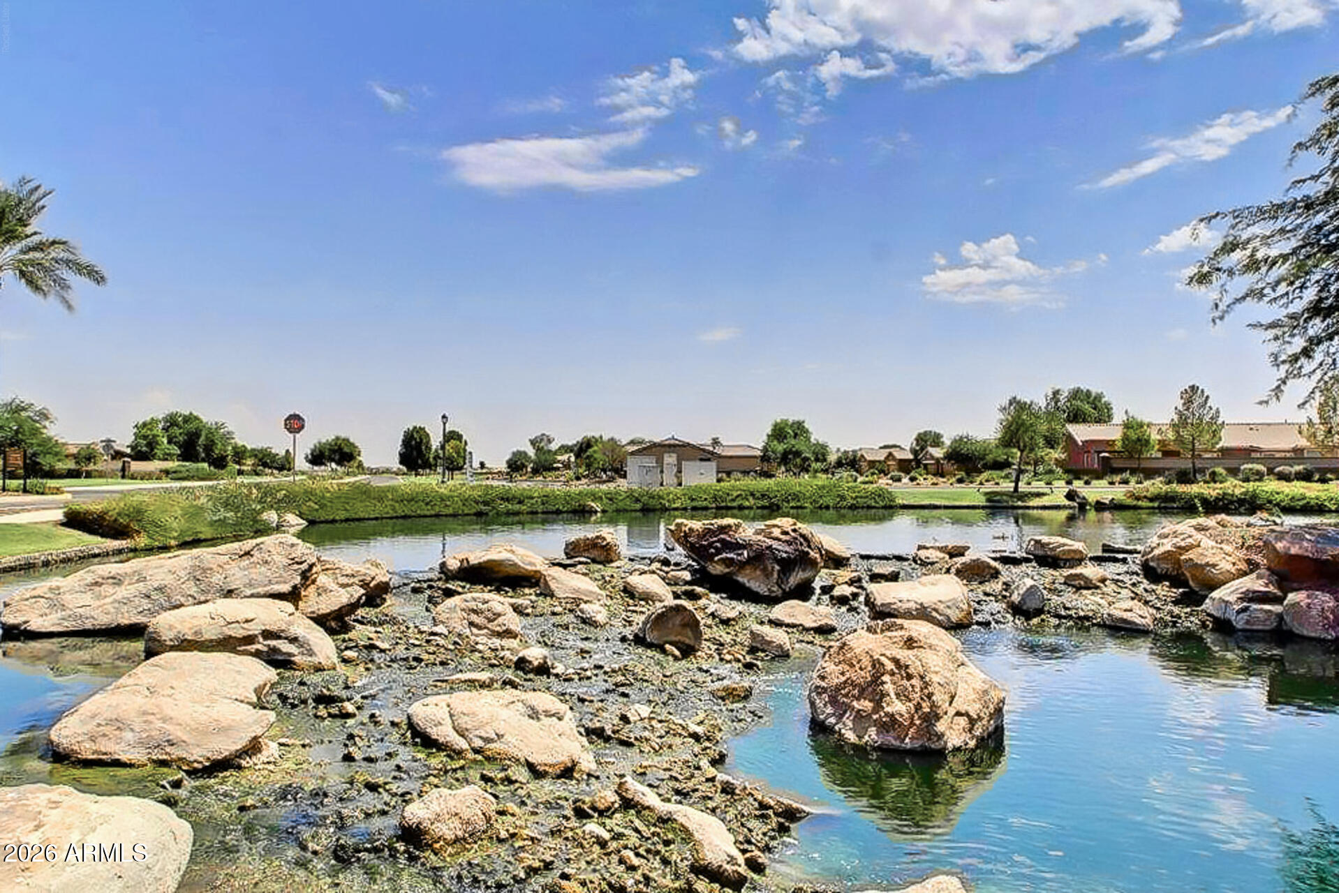 41801 W CACTUS FLOWER