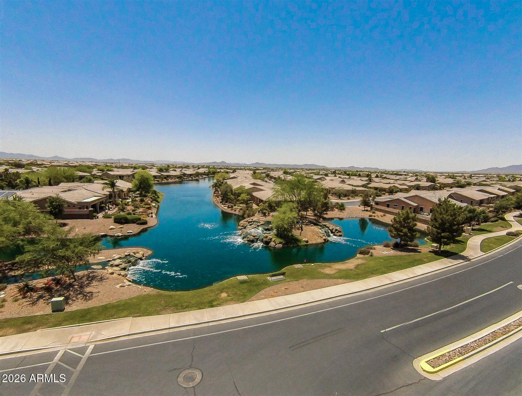 41801 W CACTUS FLOWER