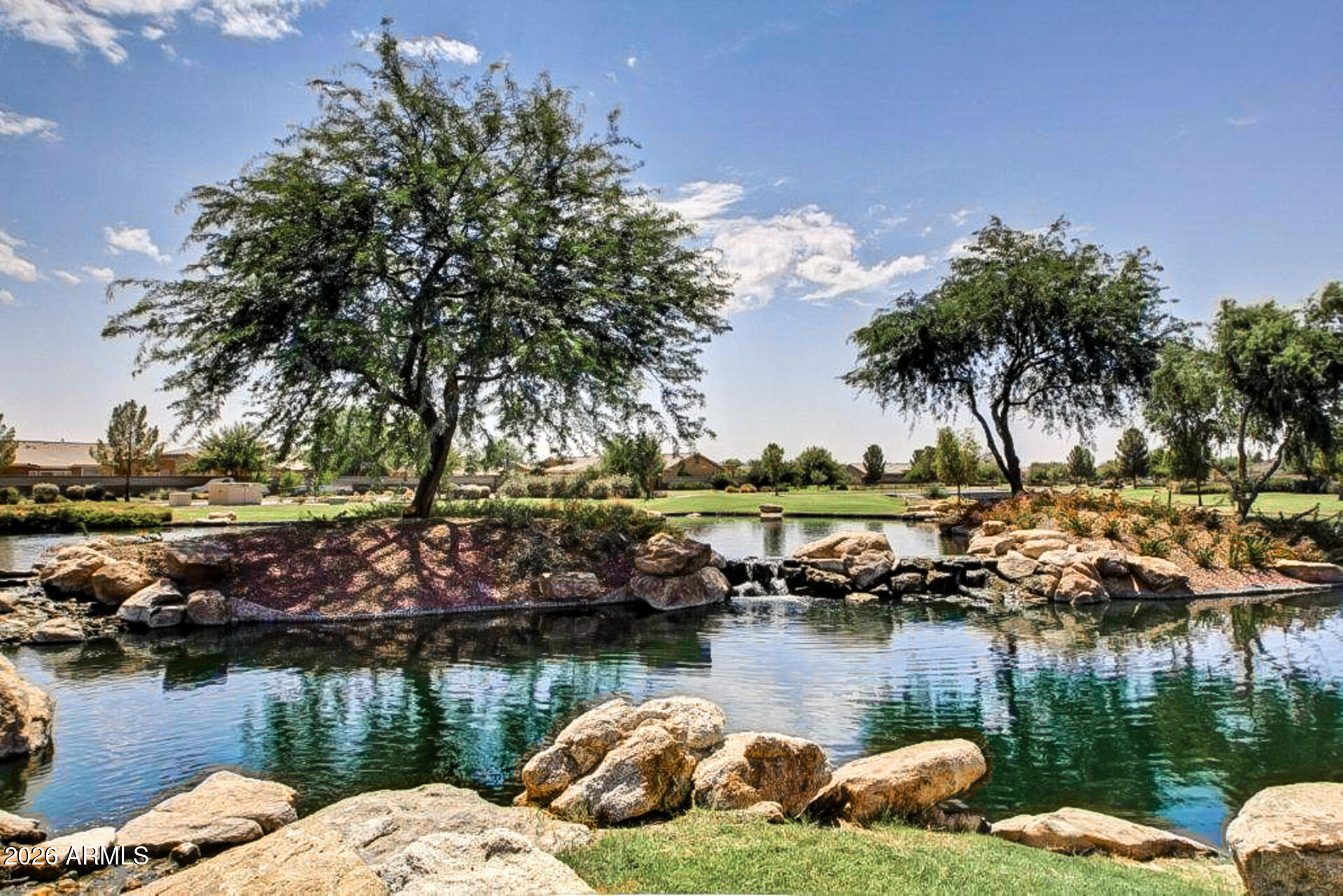 41801 W CACTUS FLOWER