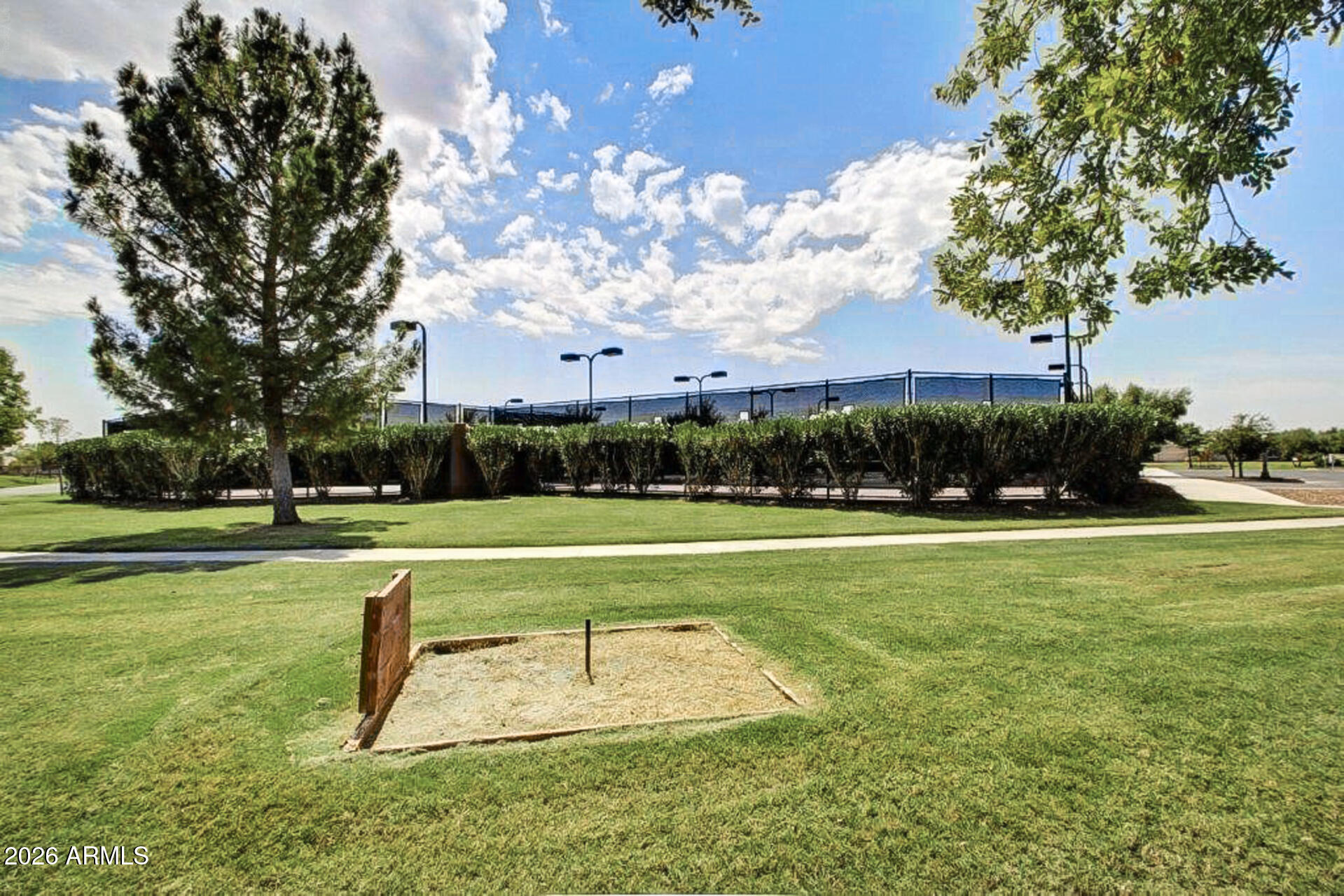 41801 W CACTUS FLOWER