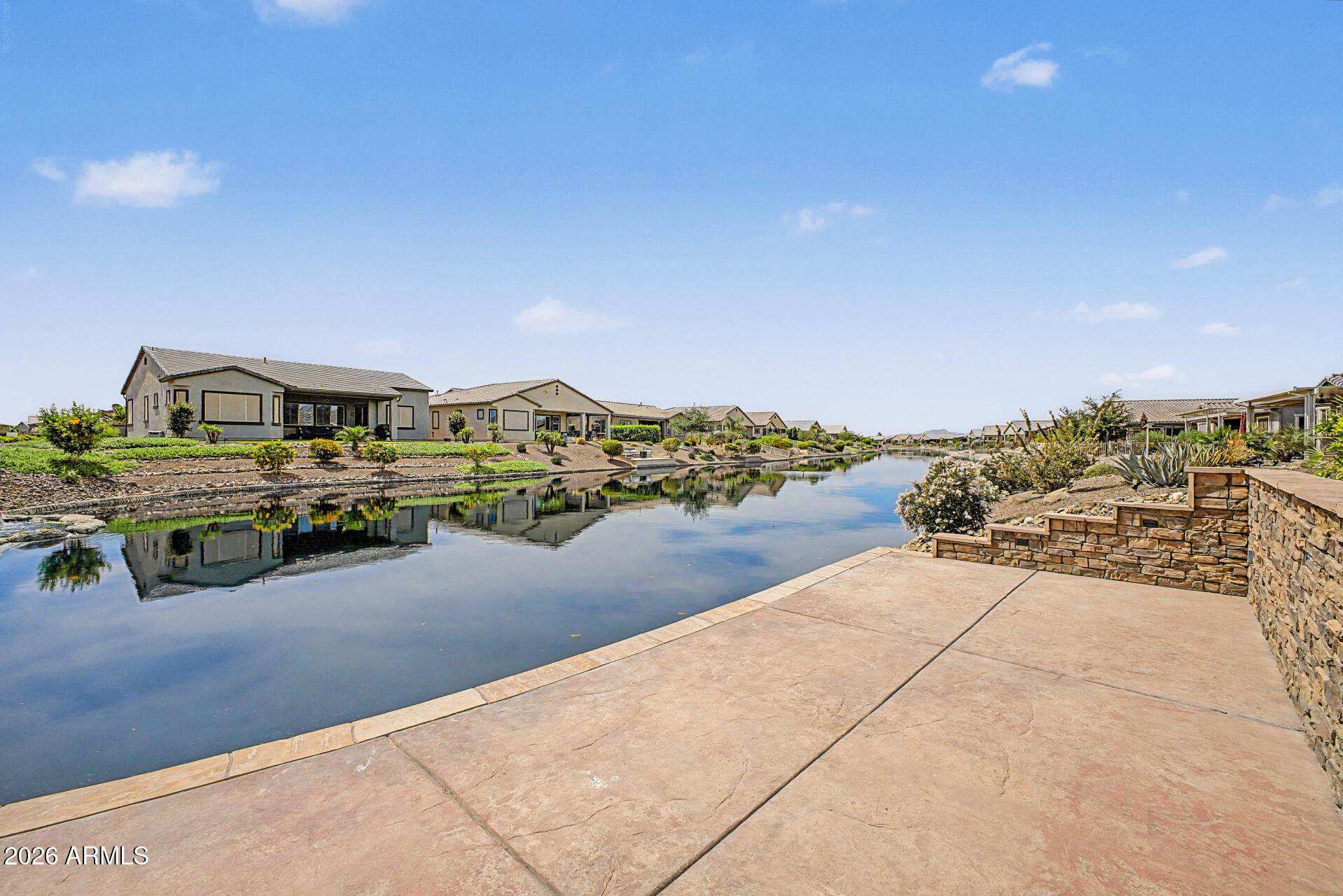 41801 W CACTUS FLOWER