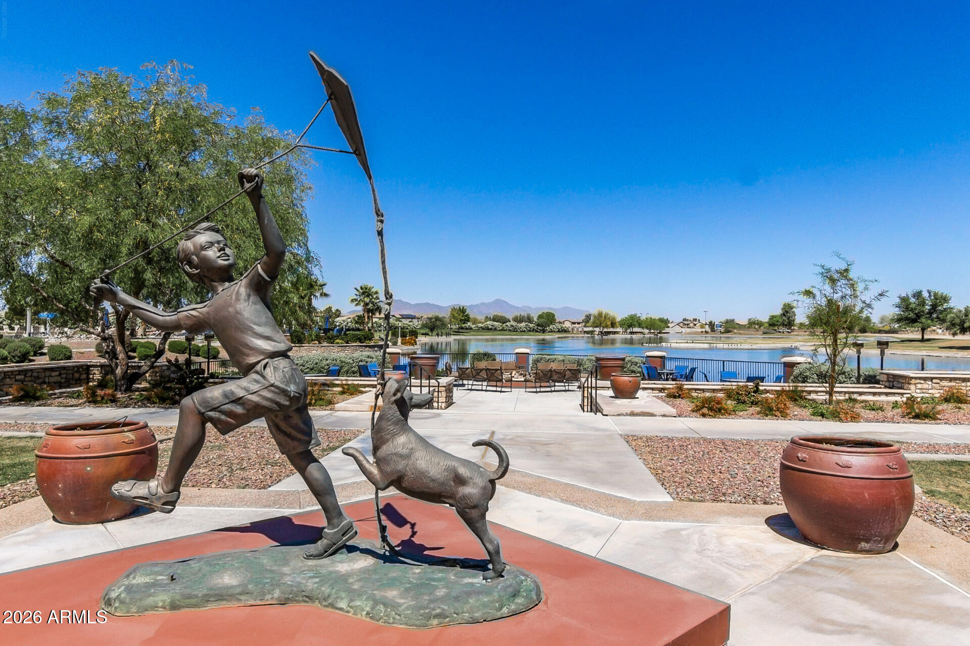 41801 W CACTUS FLOWER