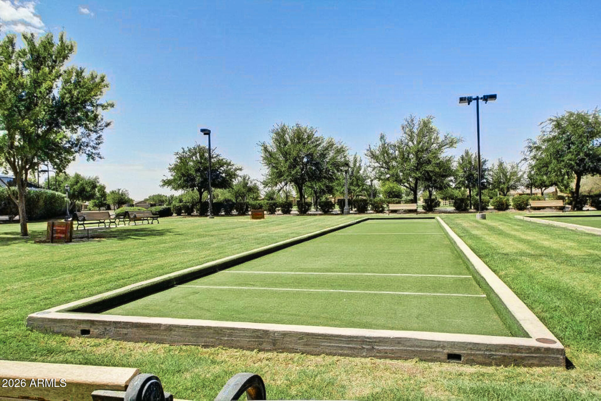 41801 W CACTUS FLOWER