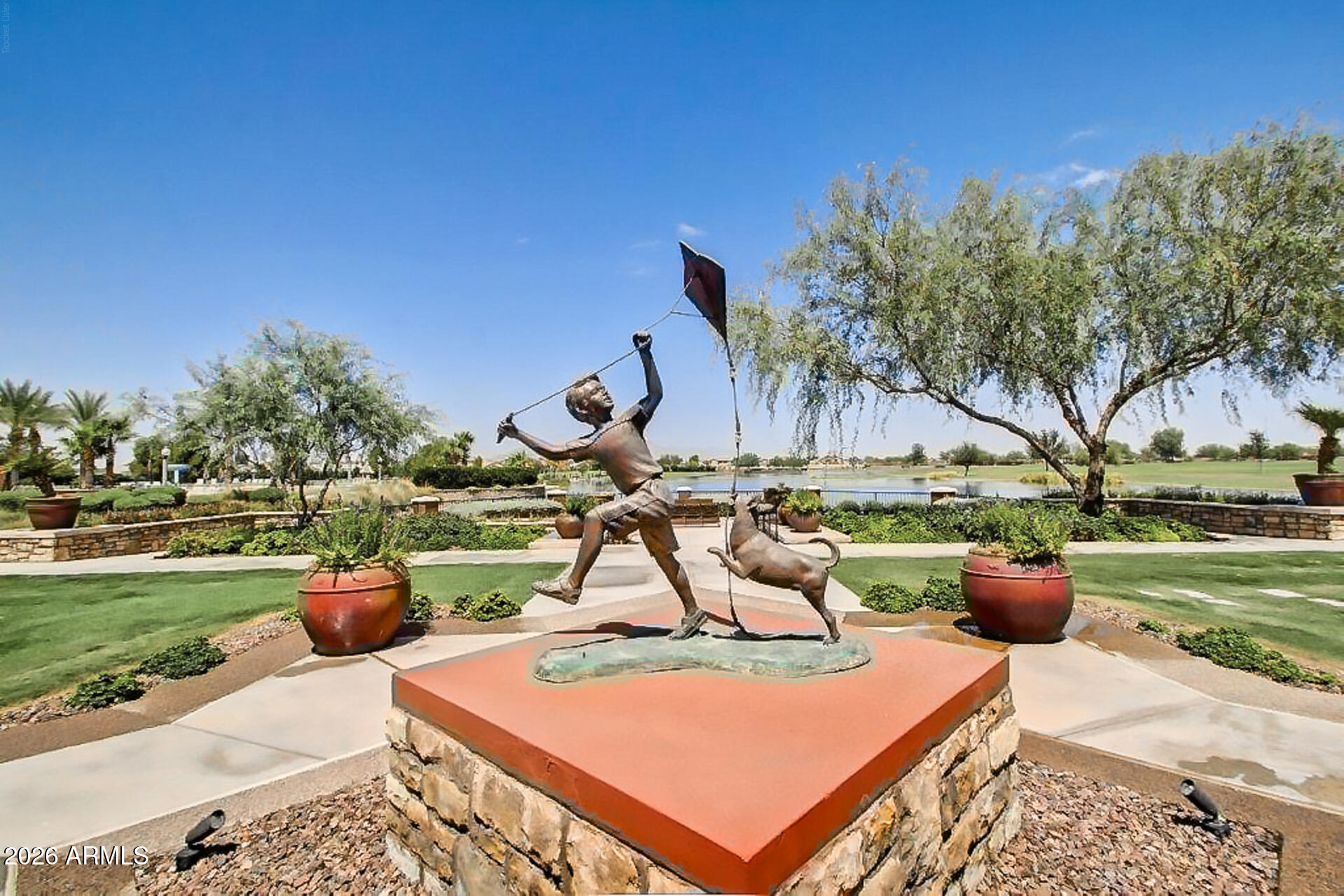 41801 W CACTUS FLOWER