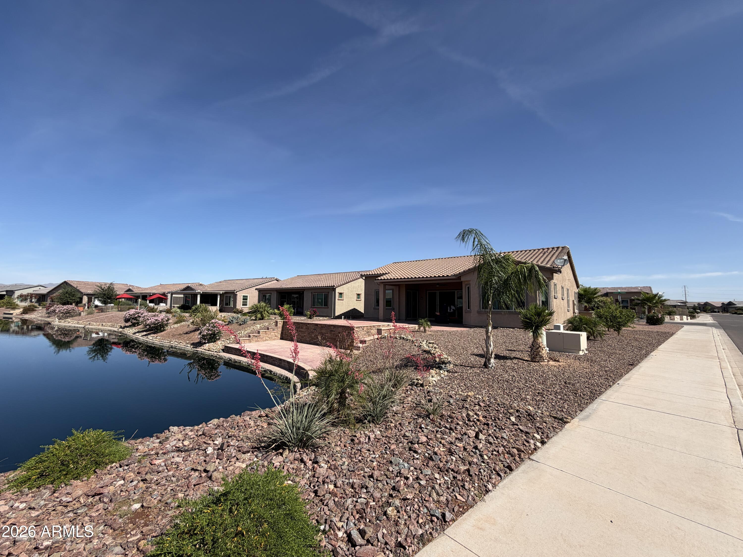 41801 W CACTUS FLOWER