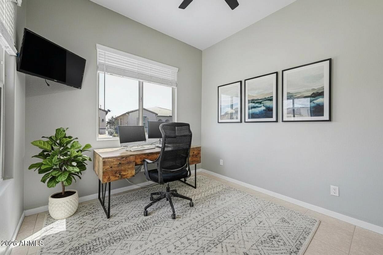 41801 W CACTUS FLOWER