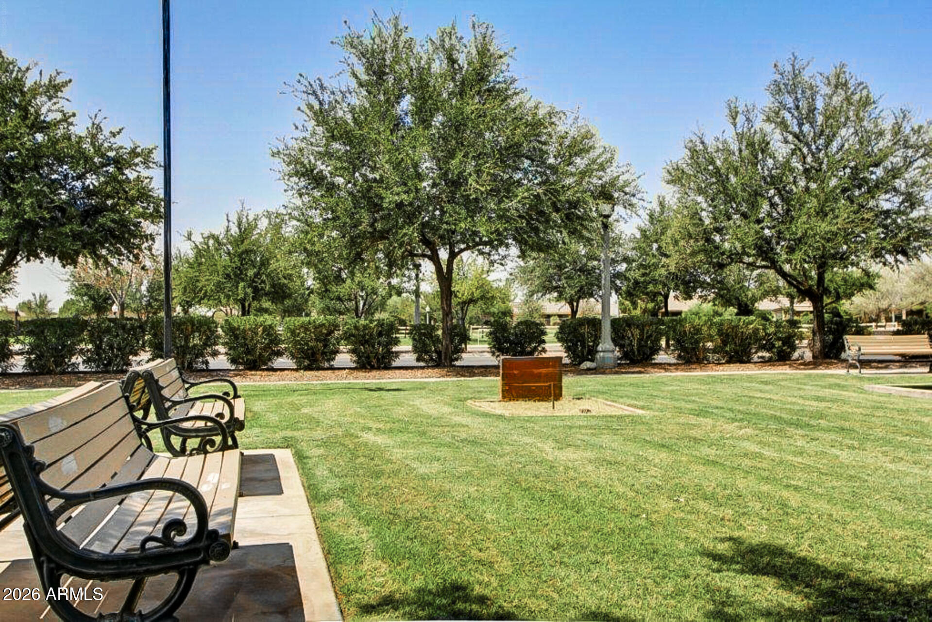 41801 W CACTUS FLOWER