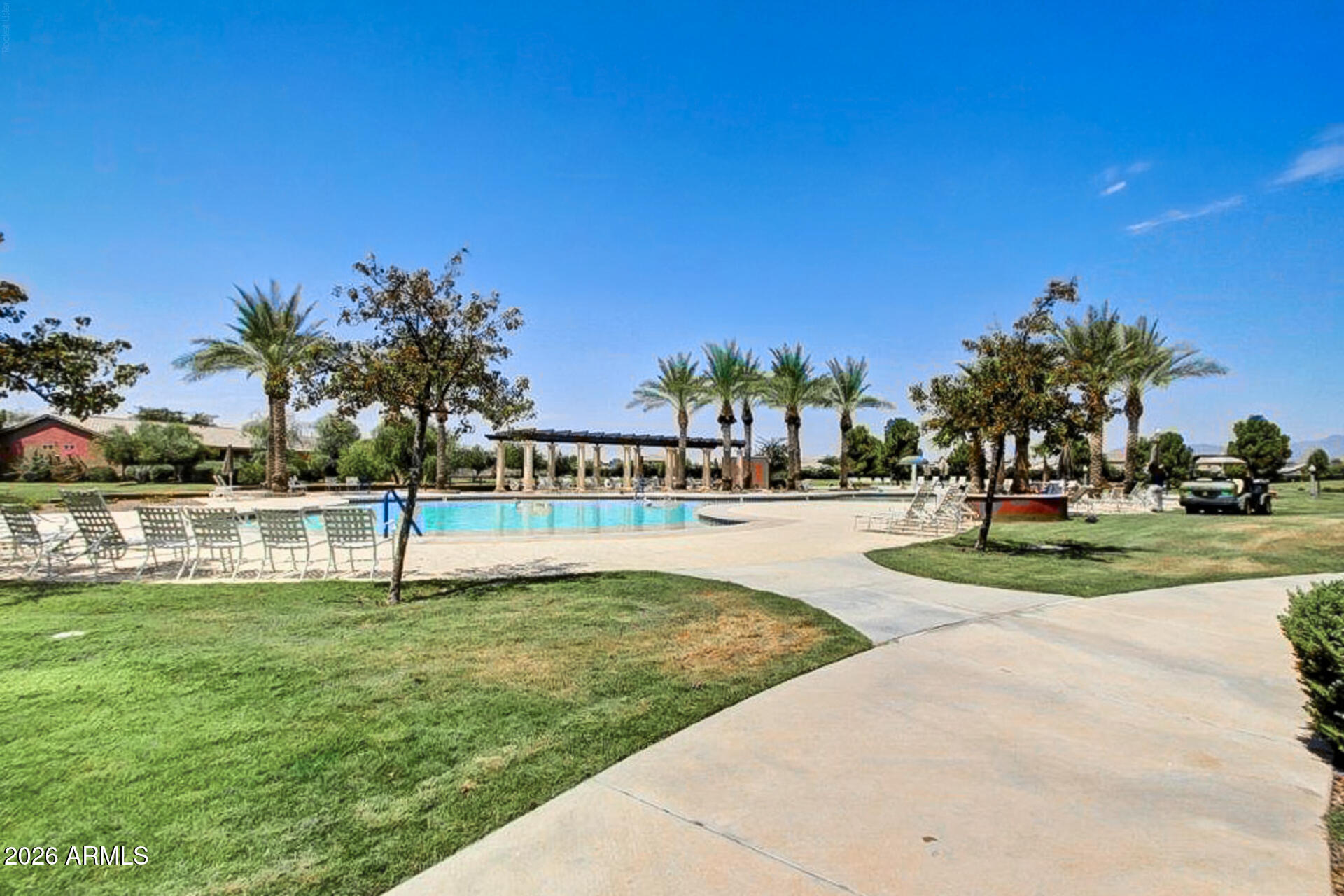 41801 W CACTUS FLOWER