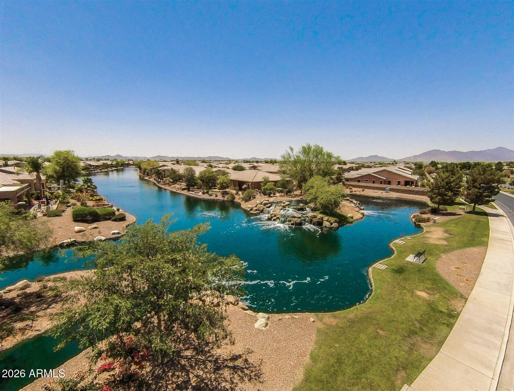 41801 W CACTUS FLOWER