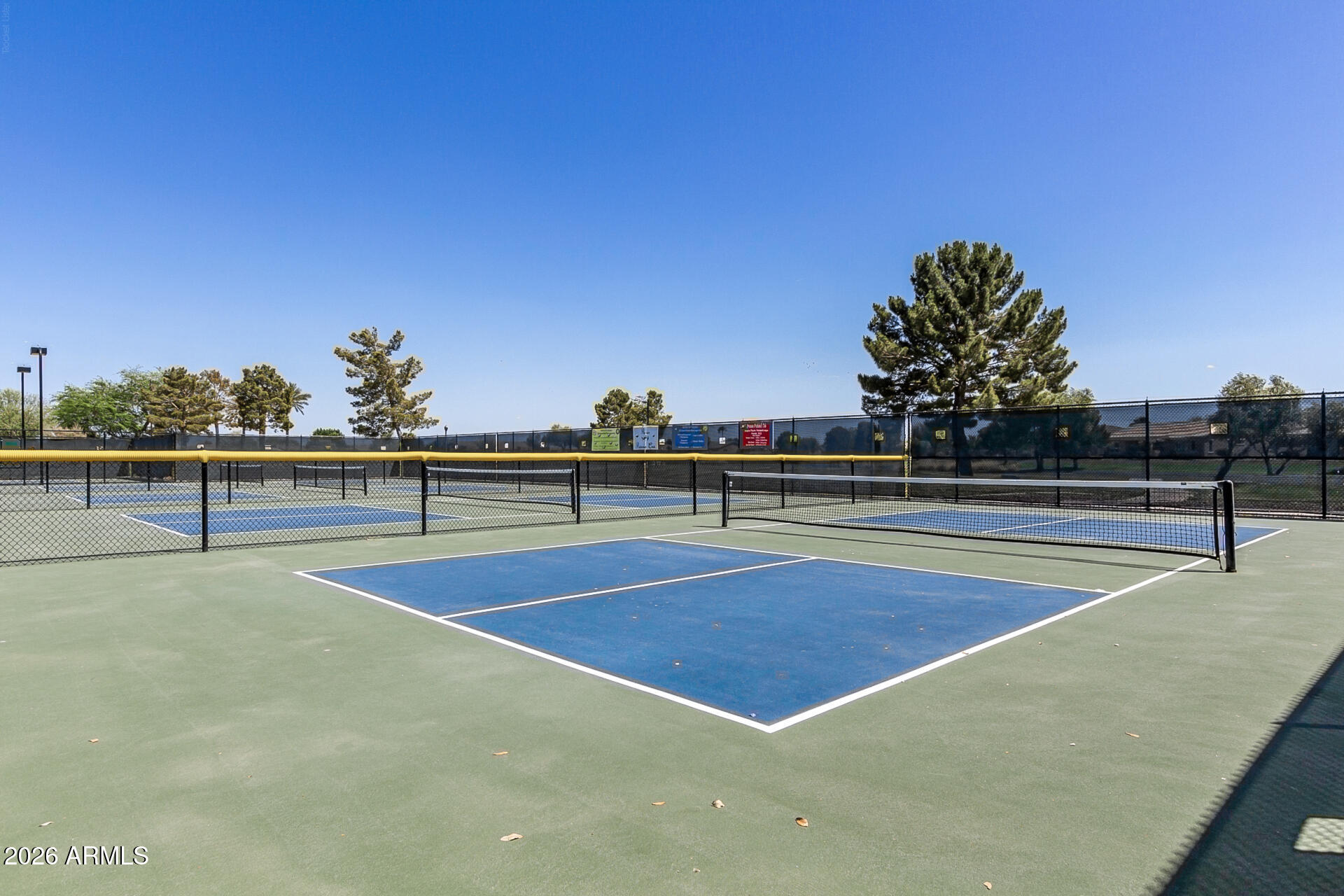 41801 W CACTUS FLOWER