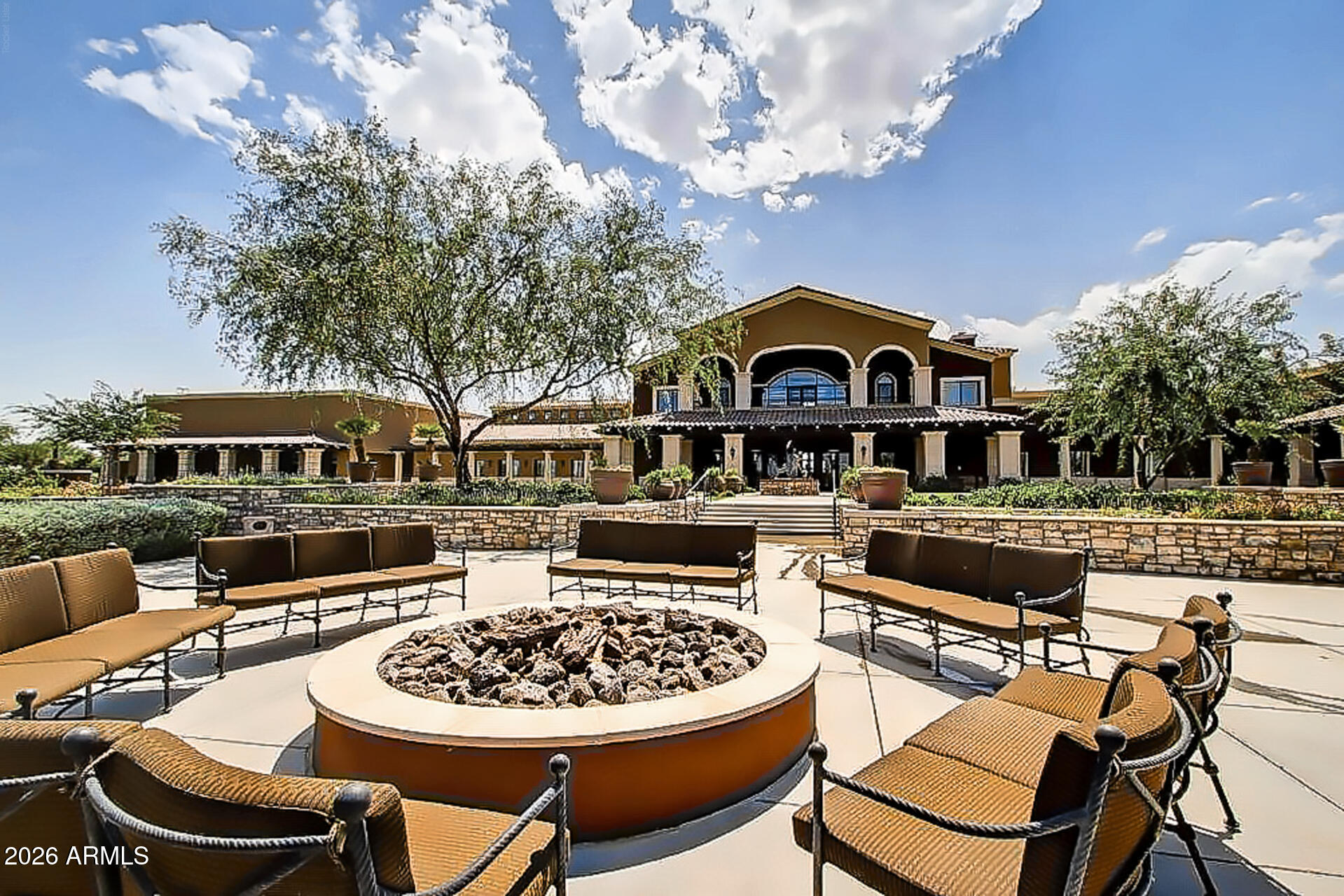 41801 W CACTUS FLOWER