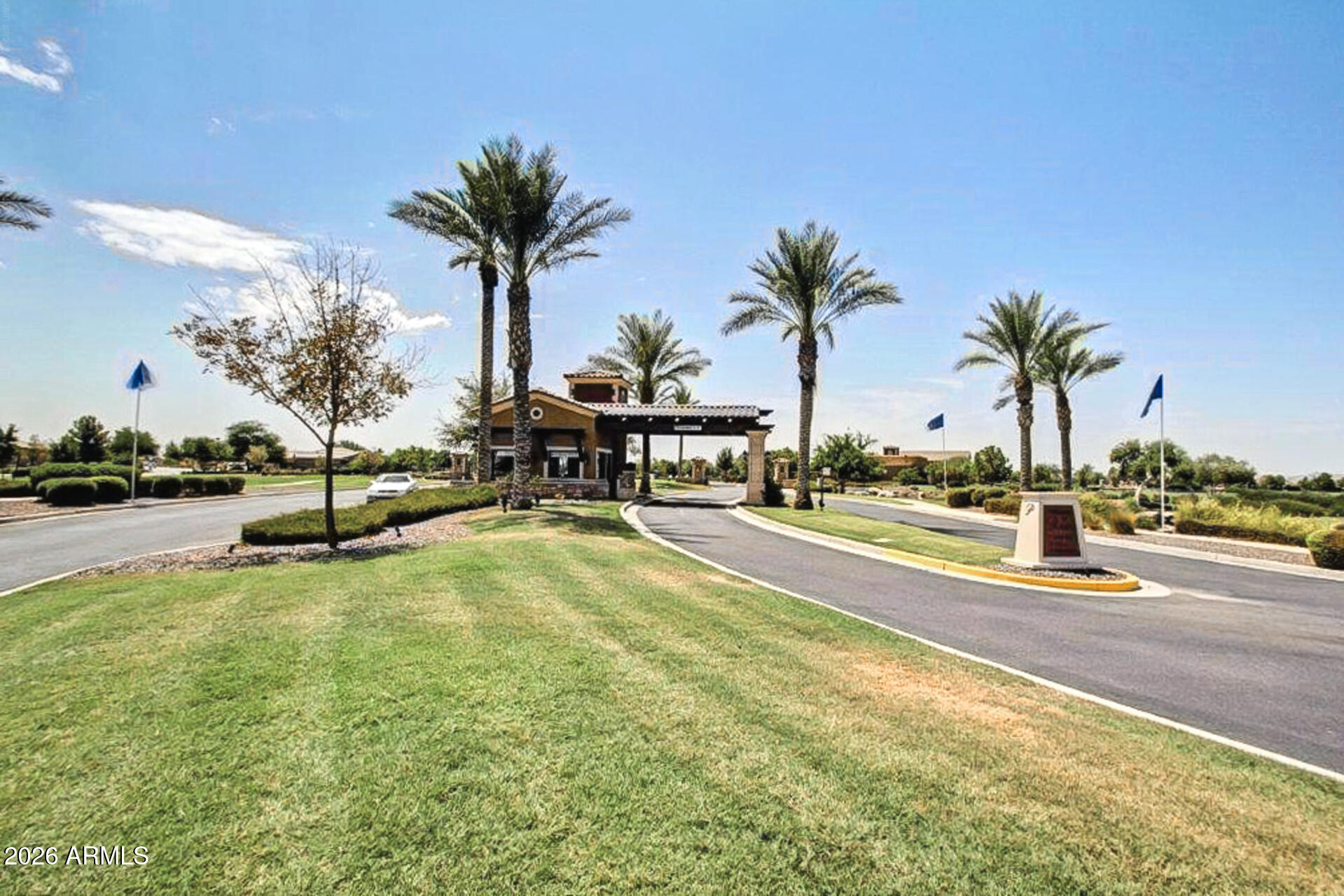 41801 W CACTUS FLOWER