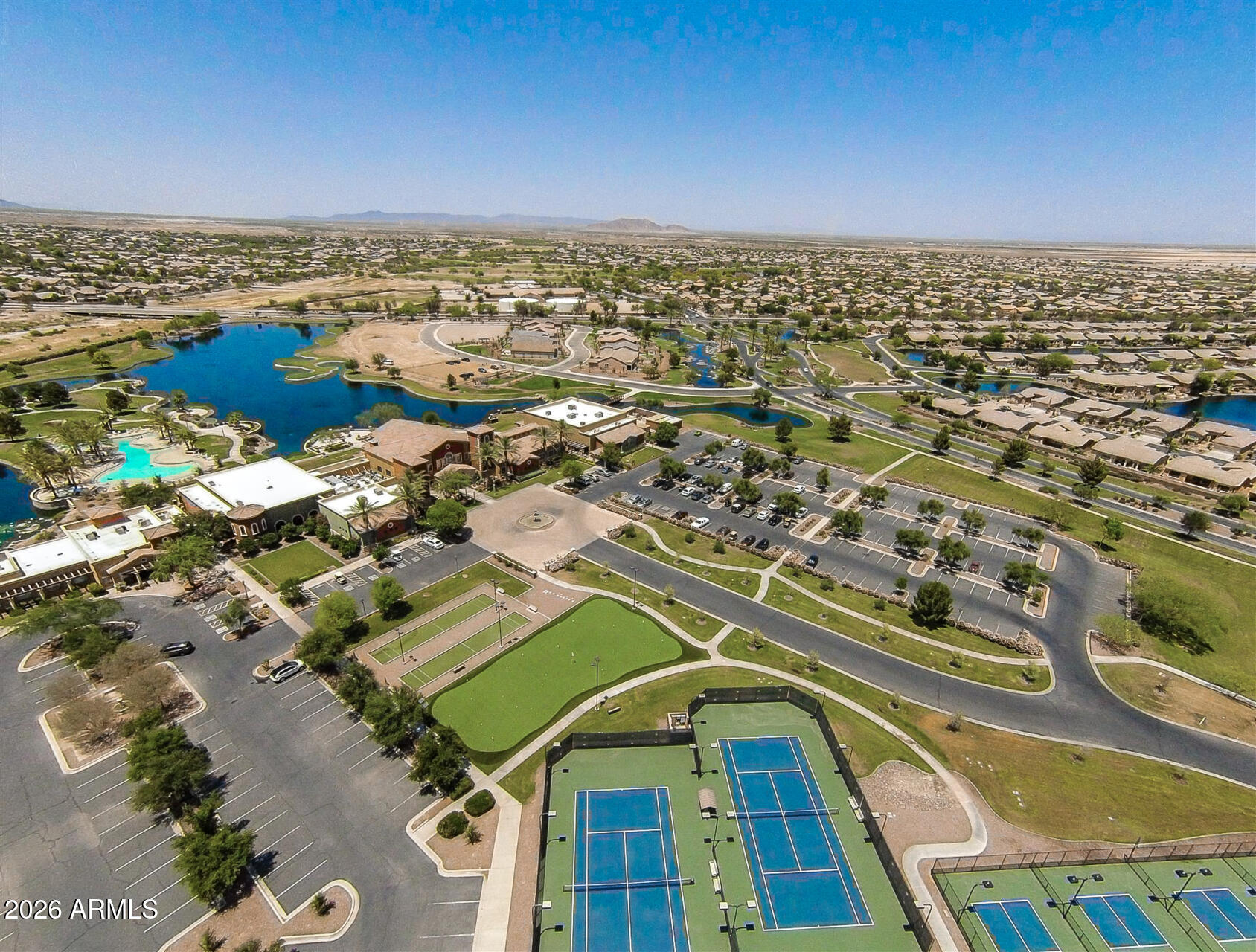 41801 W CACTUS FLOWER