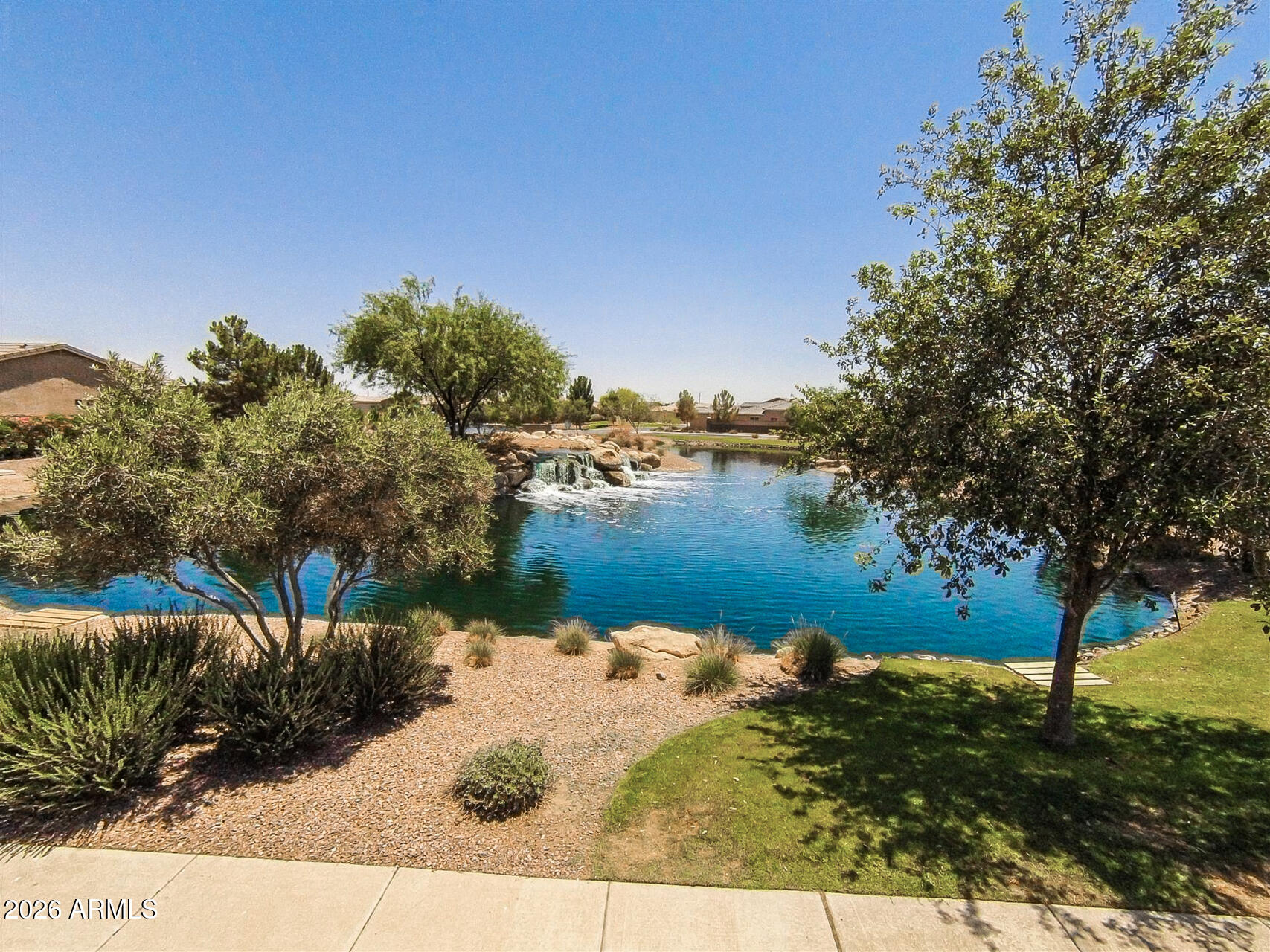 41801 W CACTUS FLOWER