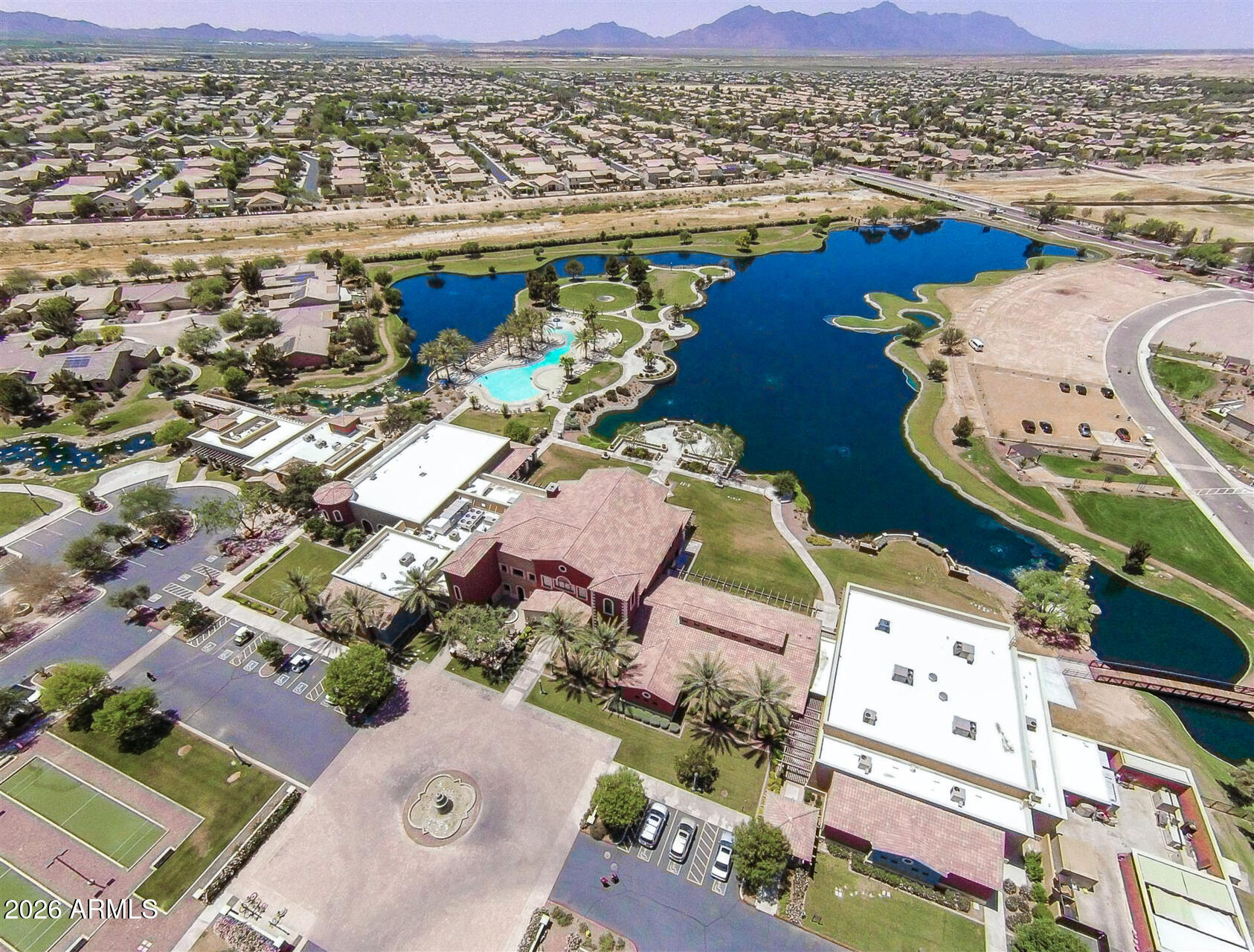 41801 W CACTUS FLOWER