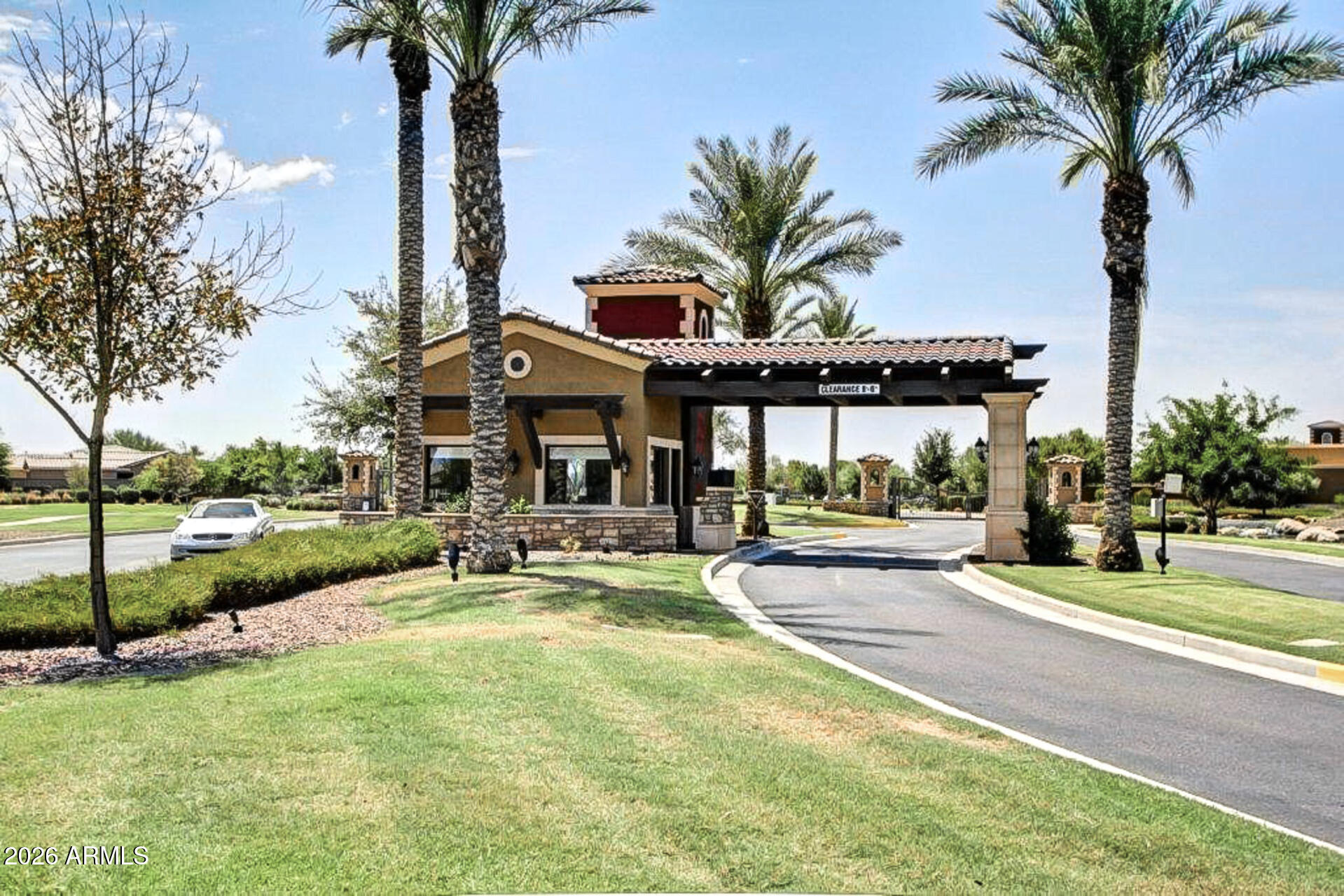 41801 W CACTUS FLOWER