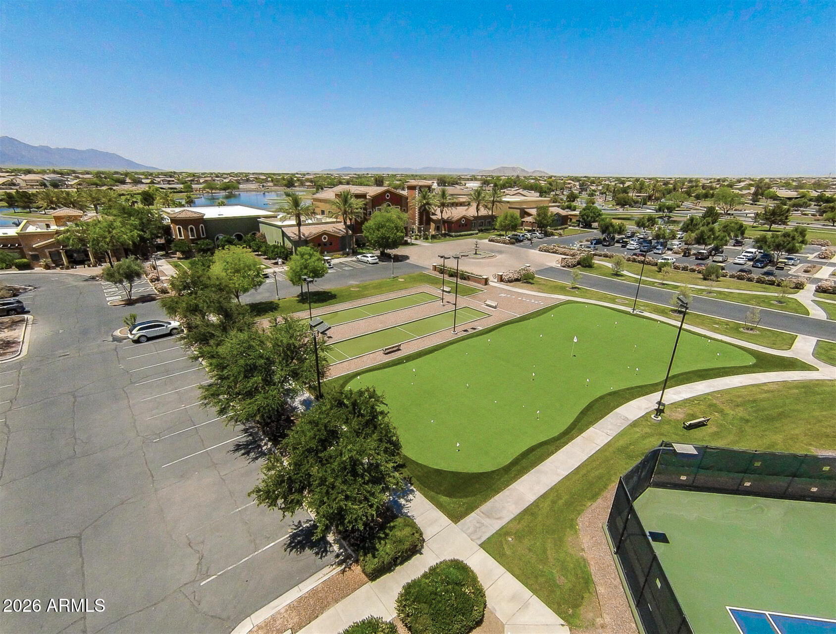 41801 W CACTUS FLOWER