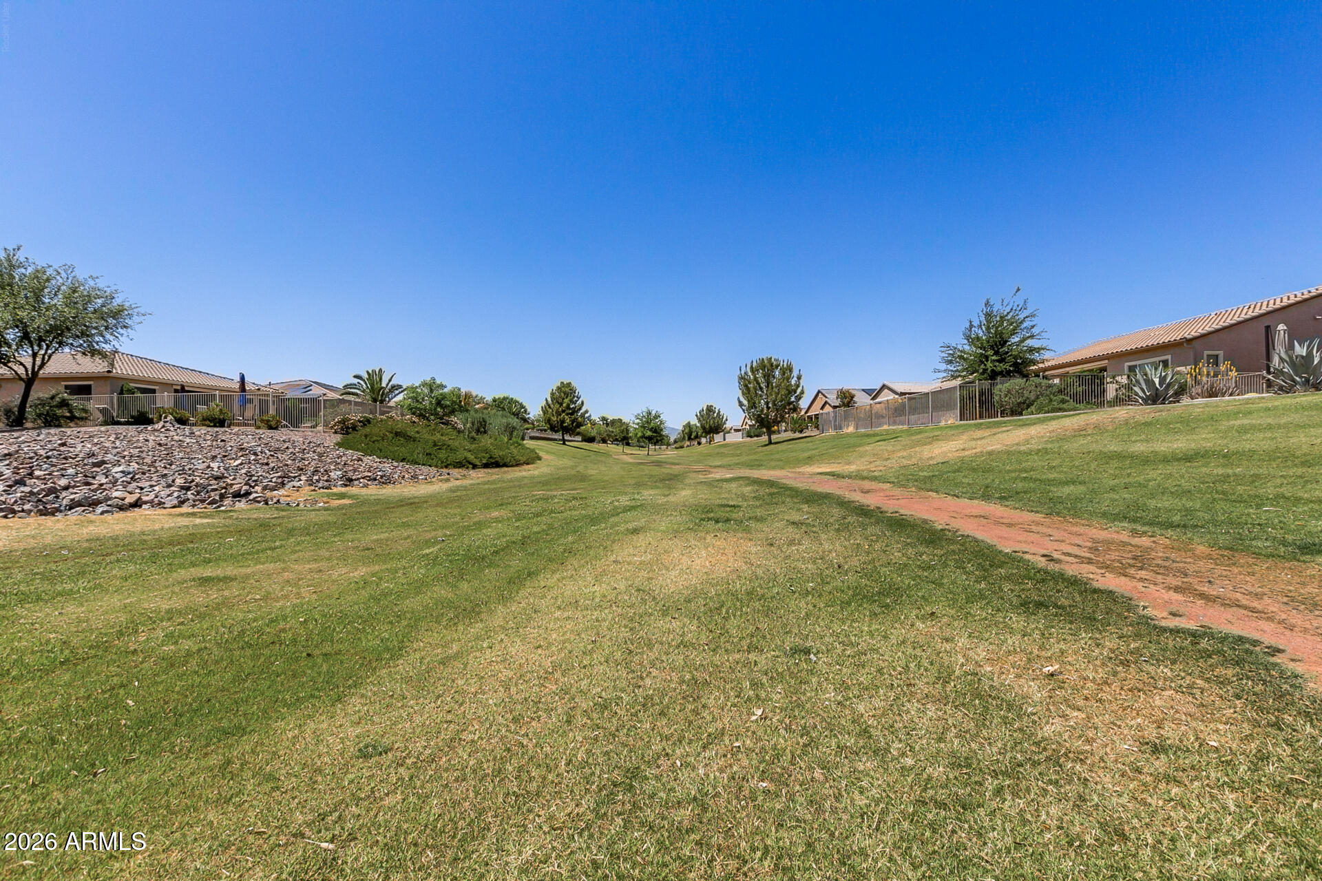 41801 W CACTUS FLOWER