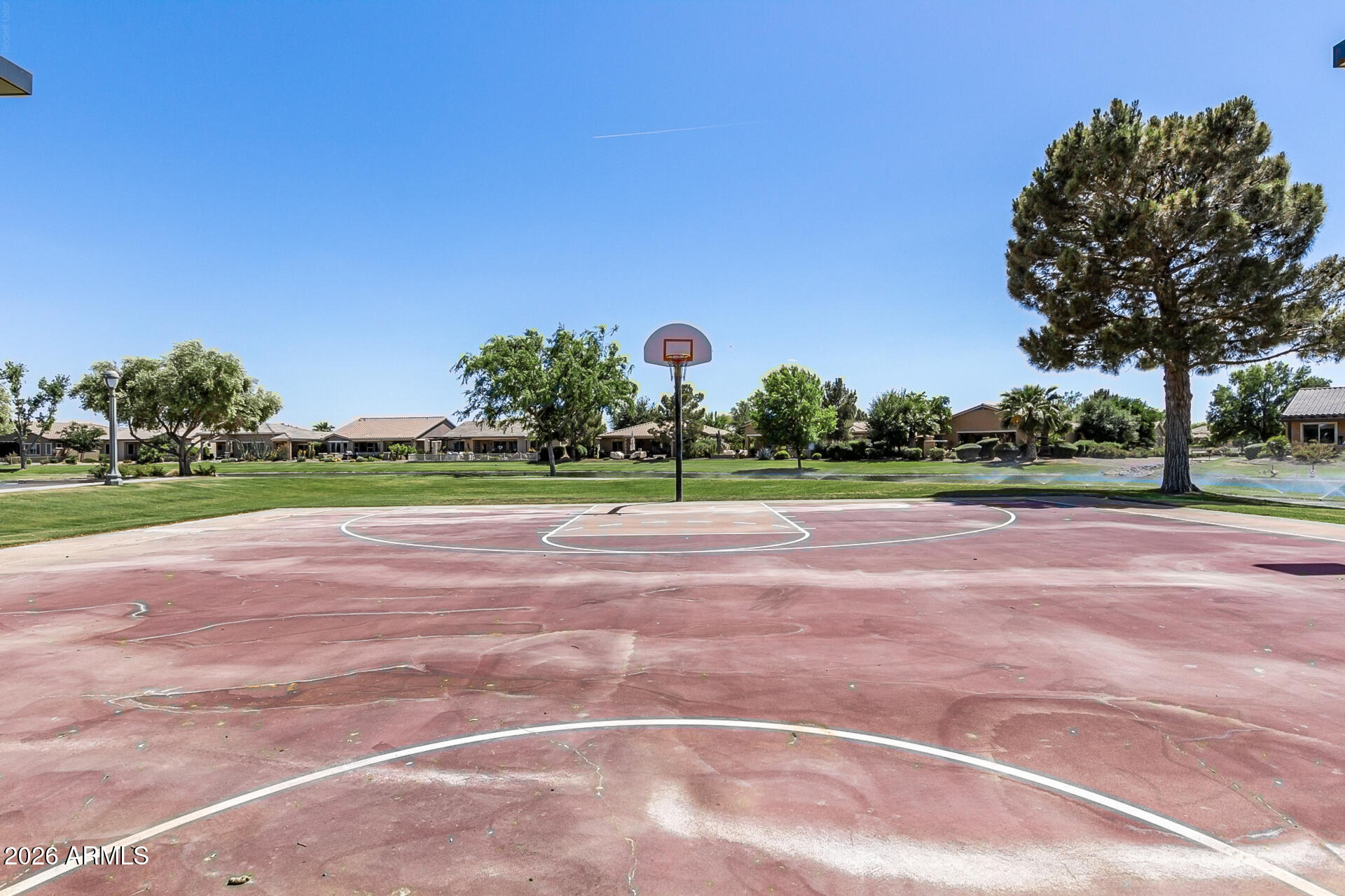 41801 W CACTUS FLOWER